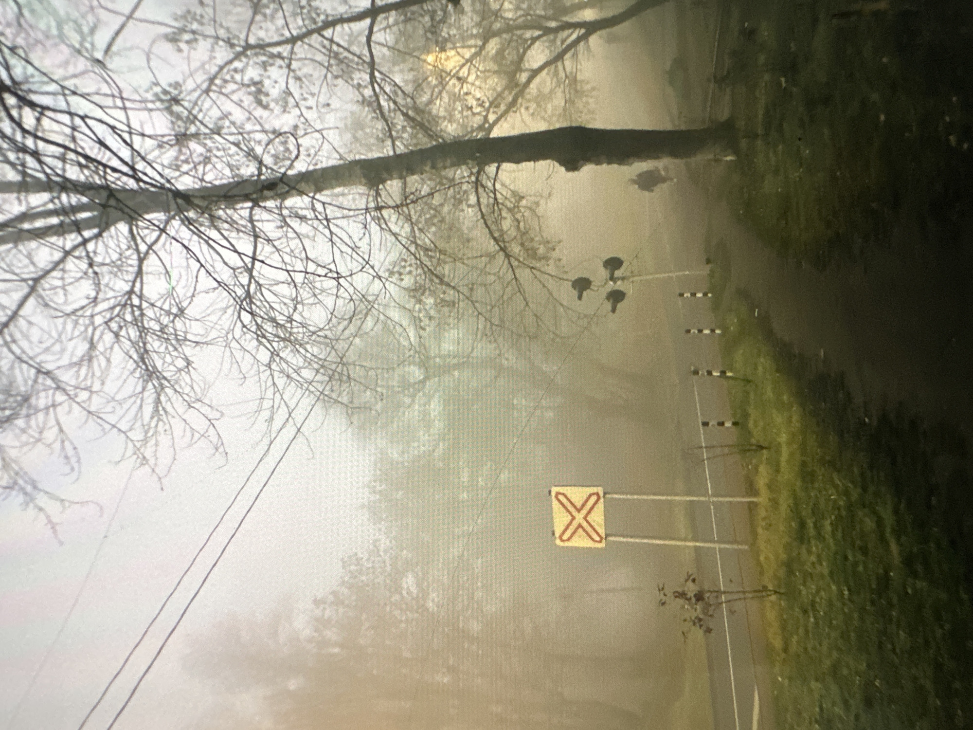 The image depicts a foggy, early morning scene on a dirt path near what appears to be a railroad crossing in Кызыл-Булак, Kyrgyzstan. Bare, deciduous trees with intricate branches dominate the landscape, their forms softened by the dense fog. A prominent railroad crossing sign, a yellow square with a red "X" symbol, stands to the left of the path. Beside the sign, a small, thin bush with dark leaves is visible.
The path itself is dark and unpaved, leading into the mist. Along the edge of the path, several black and white striped bollards are placed at intervals. In the background, a figure is walking away from the camera, silhouetted by the soft light of the rising sun, which is diffused through the fog and creates a hazy glow. Another object, possibly a traffic signal or light pole with multiple lights, is situated to the right of the path. Overhead, power lines stretch across the frame, further emphasizing the rural or semi-rural setting. The ground is covered with grass, which appears damp and reflects the muted light. The overall atmosphere is one of quiet solitude and a subdued, ethereal beauty characteristic of a foggy morning.