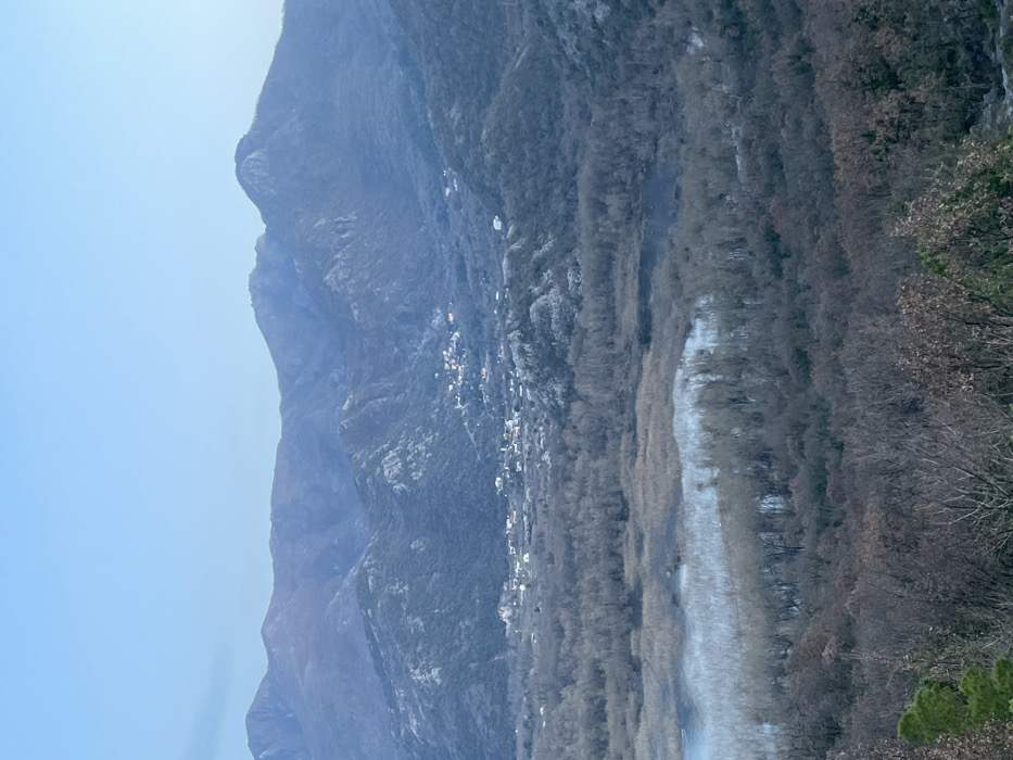 This panoramic image depicts a vast, natural landscape within the city of Godinje, Montenegro. The scene is dominated by multiple layers of rugged, grey-blue mountains in the background, their slopes sparsely covered with bare deciduous trees and exposed rock formations, suggesting a winter or early spring season. Below the mountains, in the mid-ground, a small cluster of light-colored buildings, constituting a village, is visible nestled on a lower mountain slope. In front of the village, a wide expanse of water, appearing partially frozen or highly reflective, is surrounded by a dense, grey-brown forest of leafless trees and reeds. The foreground is filled with darker, leafless trees and shrubs, including some evergreen foliage on the bottom left, providing an elevated perspective of the valley. The sky above is clear and light blue, indicative of daylight. No individuals, animals, or specific activities are observable within the frame.