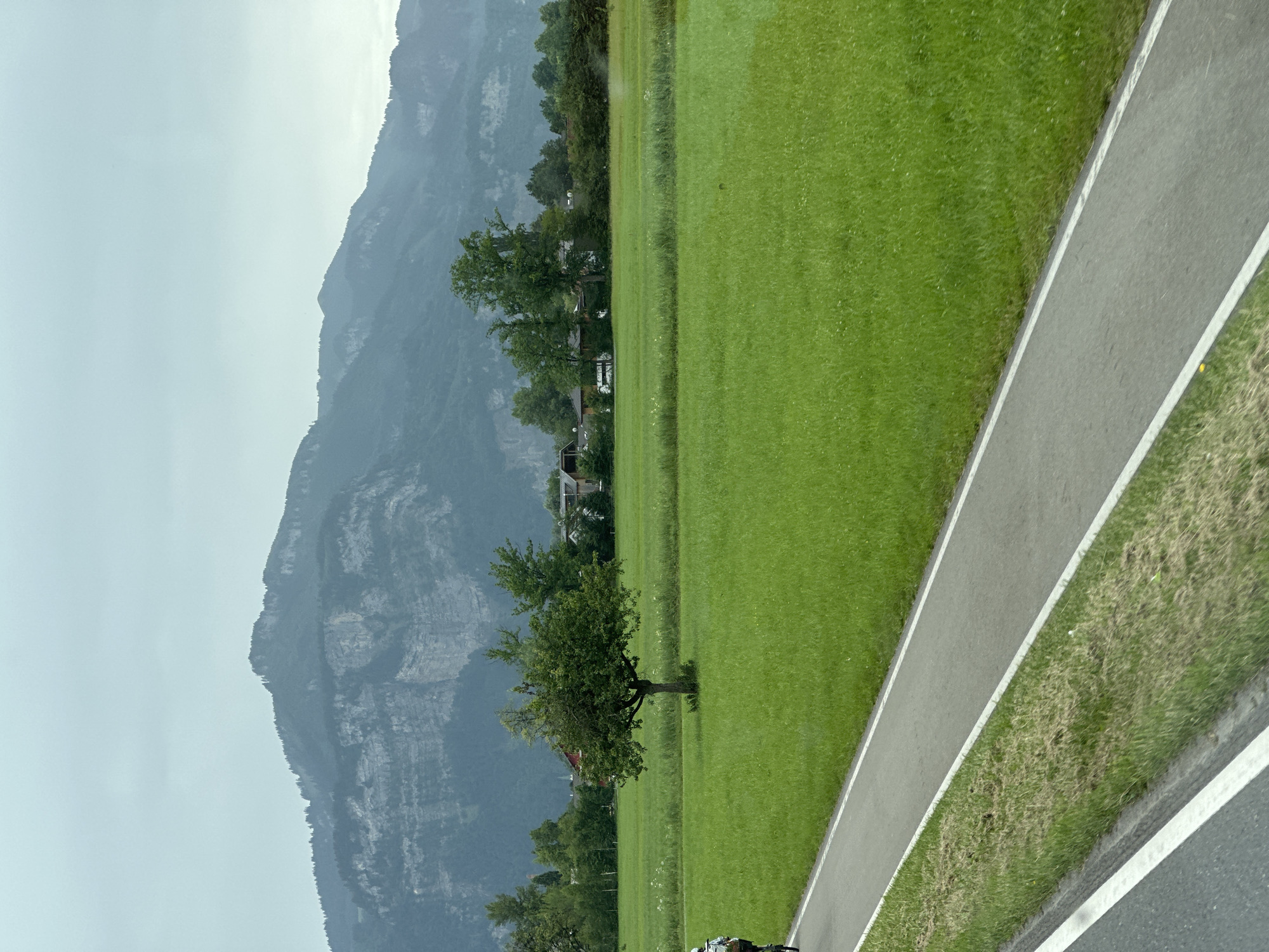 The image captures a scenic view of a cycling path bordering a lush green field, with a lone tree standing in the middle of the field. In the background, a range of majestic mountains looms under a cloudy sky. Several houses are scattered amongst the trees, adding a touch of human settlement to the natural landscape. A cyclist is visible on the path, riding away from the camera. The overall scene suggests a peaceful and idyllic setting, likely in a rural or suburban area of Dornbirn, Austria, given the characteristic mountainous backdrop.