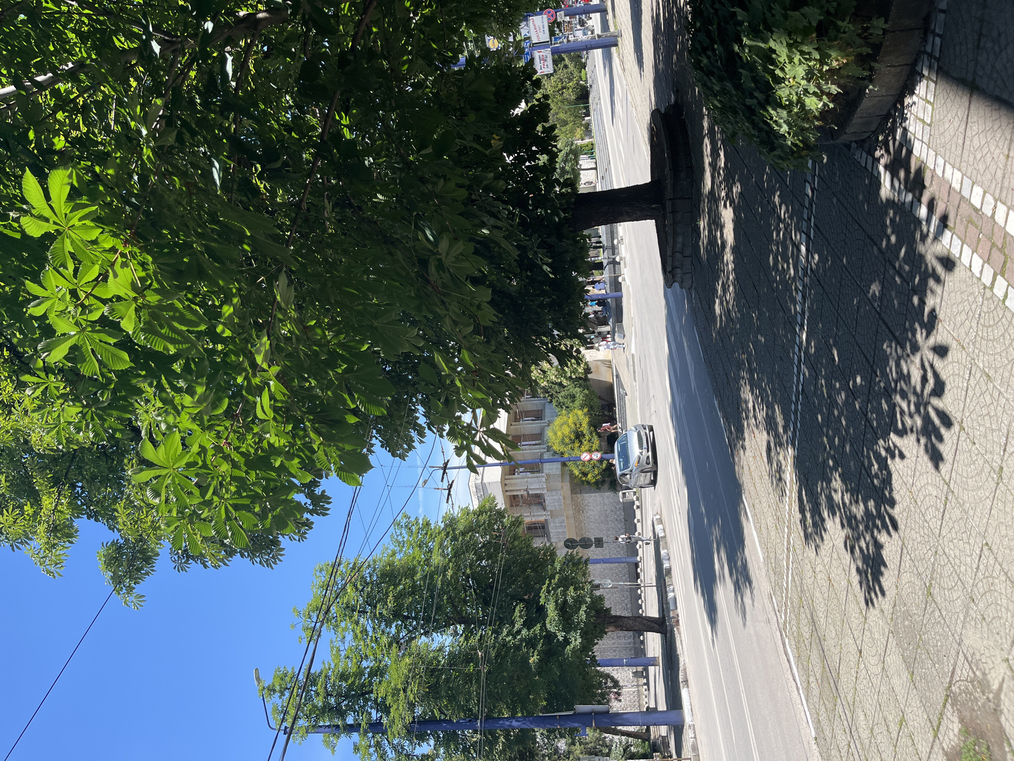 The image depicts a street scene in Pazardzhik, Bulgaria, under a clear blue sky. A silver car is visible driving on the asphalt road, which has white lane markings and a pedestrian crossing. On the sidewalk, which is paved with square tiles and has a decorative border, a large tree with green leaves casts a shadow. Another tall tree with green foliage stands on the left side of the road, next to a blue lamppost. In the background, a building with light-colored walls and a modern architectural style is situated across the street. Several people are walking on the sidewalk and near the building. The overall impression is that of a bright, sunny day in an urban environment.