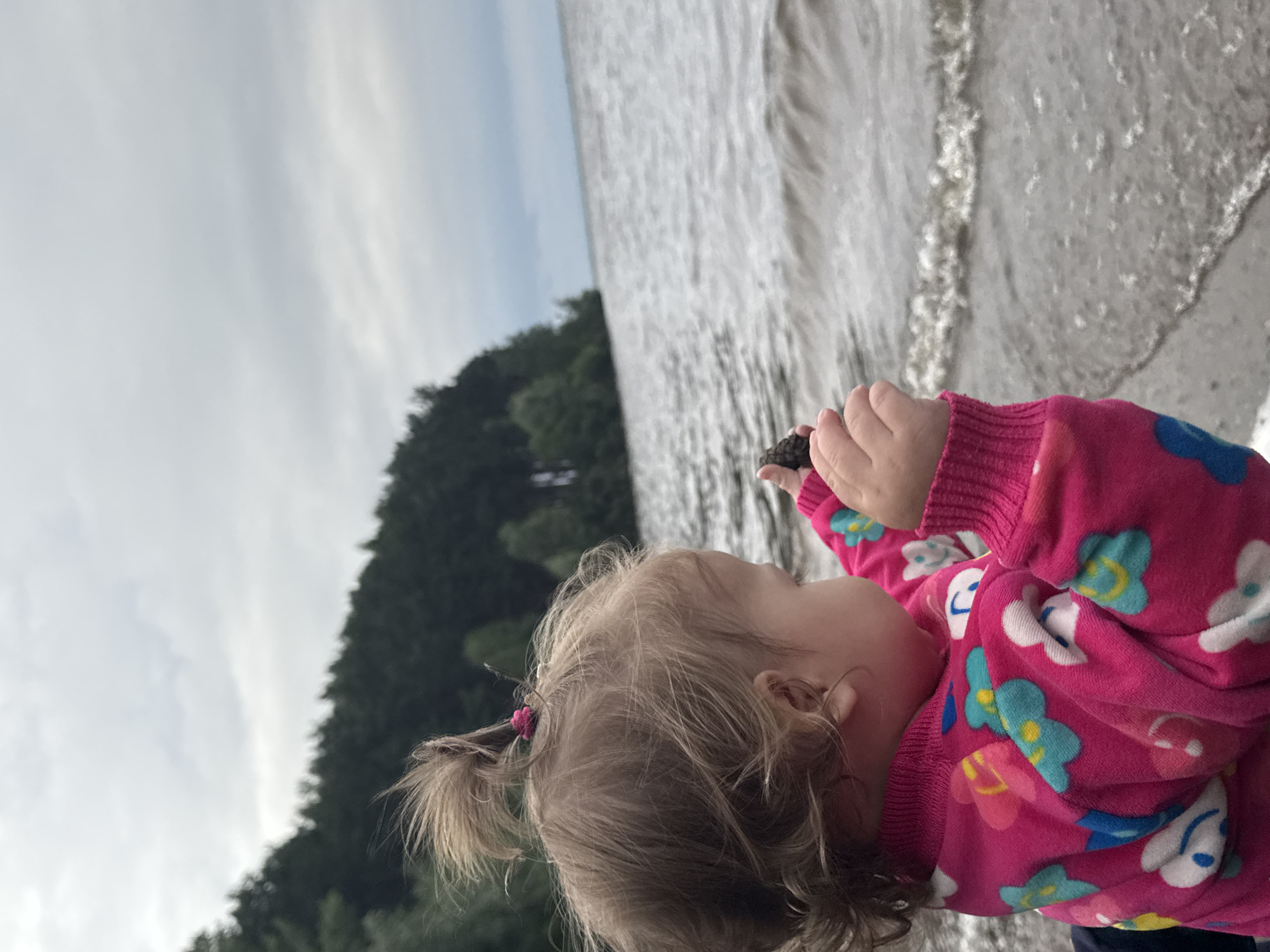 A young child, seen from the side and slightly from behind, is examining a small dark object in their hand. The child has blonde hair styled in pigtails and is wearing a bright pink hooded sweatshirt adorned with colorful flowers. They are standing near the edge of a body of water, likely a lake or ocean, with waves lapping gently at the shore. In the background, a dense forest lines the water's edge, and the sky above is overcast with soft clouds. The overall impression is of a calm, natural setting, possibly a park or beach, on a mildly cloudy day. The child's focus on the object in their hand suggests curiosity and engagement with their surroundings.