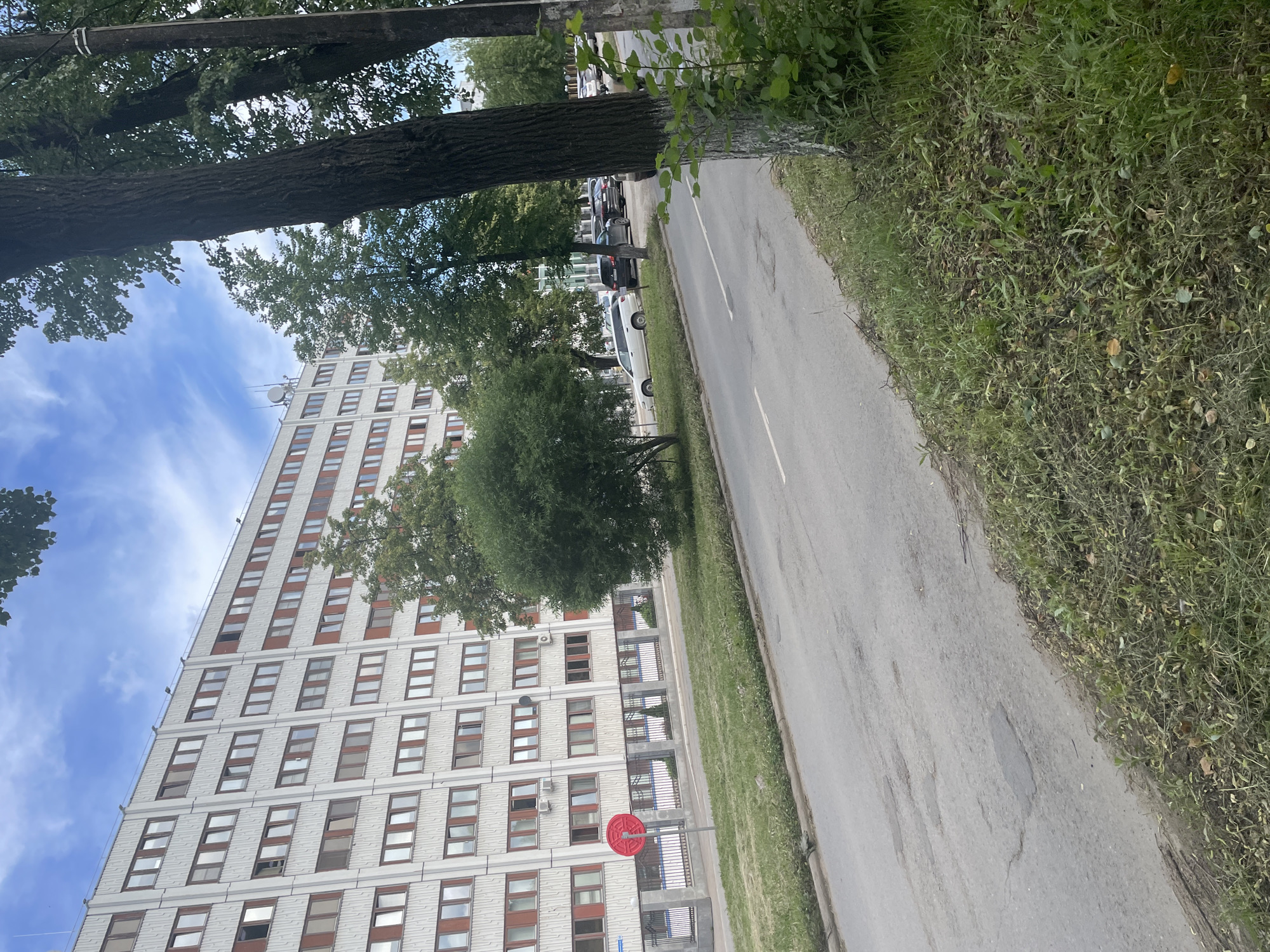 The image depicts a street scene in the city of Chaikovsky, Russia. In the background, a long, multi-story building with a light-colored facade and numerous windows with brown frames dominates the skyline. Trees and foliage are visible in front of and around the building, with a prominent, round, red sign with white markings positioned near the building's entrance. A paved road with a white dividing line runs through the foreground and middle ground of the image, with parked cars visible on the right side of the road. The area alongside the road is covered in grass and scattered leaves. The sky is partly cloudy.