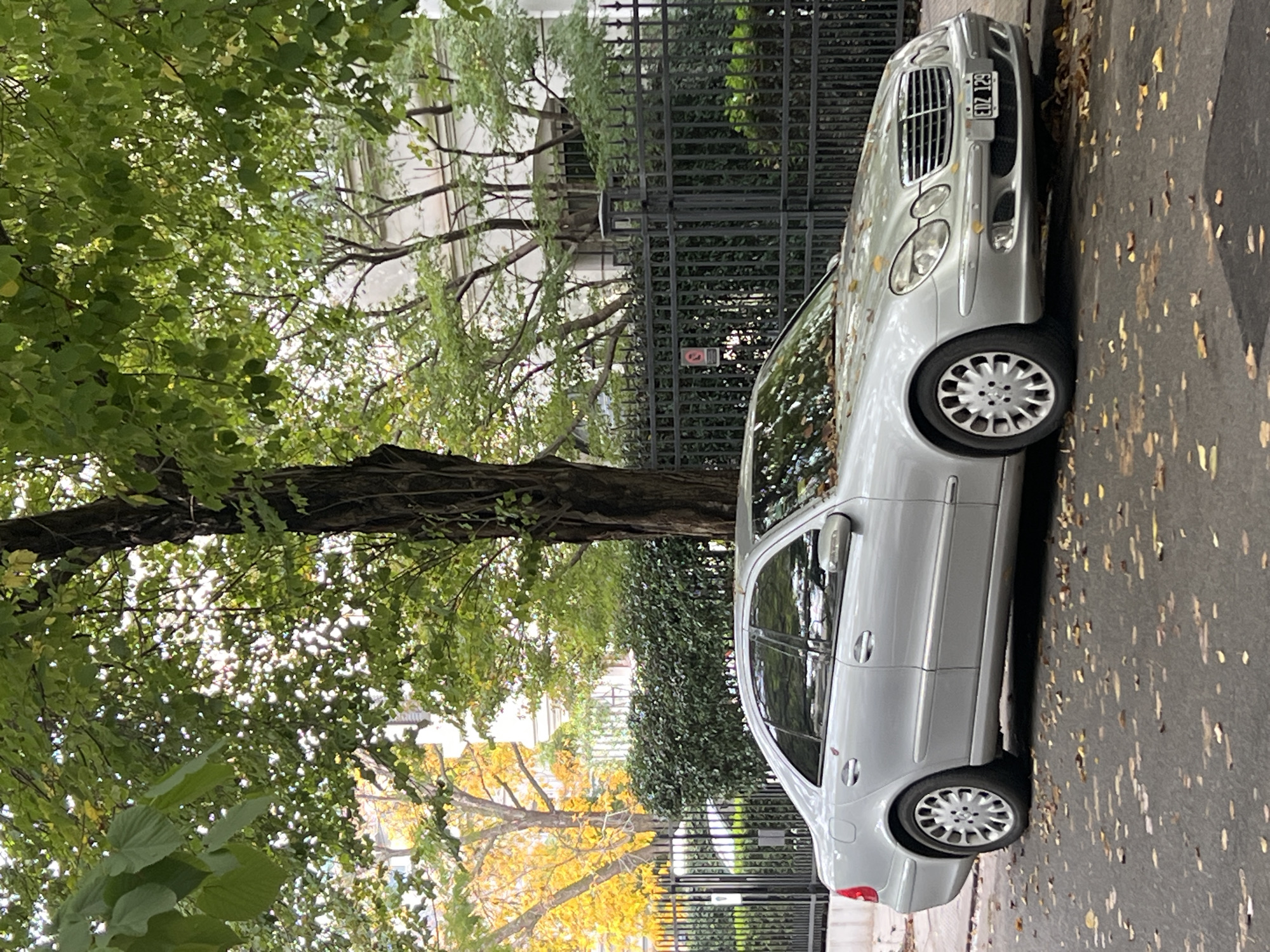 A silver car is parked on a street in Buenos Aires, Argentina. The car is a Mercedes-Benz E-Class W211, and its license plate reads "EDZ 129". The car is parked on the right side of the road, next to a sidewalk covered in fallen leaves. A tree with green leaves and a wrought iron fence are in the background. There is a building behind the fence. The car is parallel to the curb.