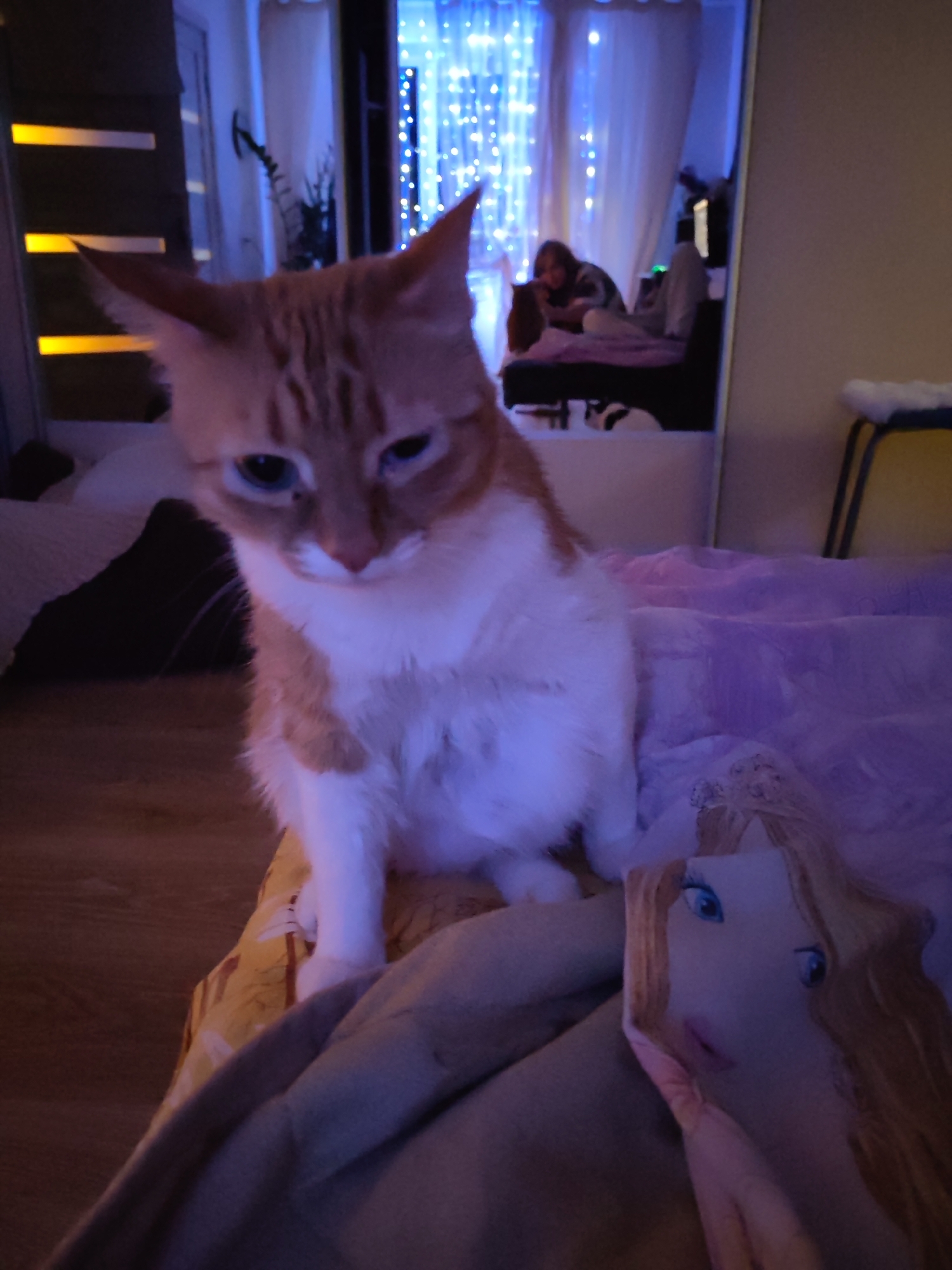 A medium shot captures an orange and white cat seated on a bed or similar surface. The bed is covered with a lavender-colored blanket and a yellow patterned fabric. In front of the cat is a pillow with a cartoonish face of a blonde woman.
In the background, a mirror reflects a room with a person sitting on a bed or couch, lit by fairy lights hanging in the background. The setting appears to be an indoor, domestic environment, possibly a bedroom.
The image does not contain information that indicates the city of Chaikovsky, Russia, or any geographical location.
