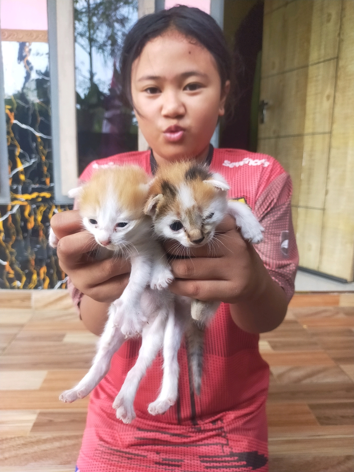 In Bululawang, Indonesia, a young person with dark hair and bangs, wearing a red t-shirt, holds two kittens. The person's lips are puckered, suggesting they are blowing a kiss or making a kissing face. The kittens, one predominantly white with orange markings on its head and the other with calico coloring, are held with their bodies dangling downwards. The background features a tiled floor and a wooden door, suggesting an outdoor or semi-outdoor setting, possibly near a residence.