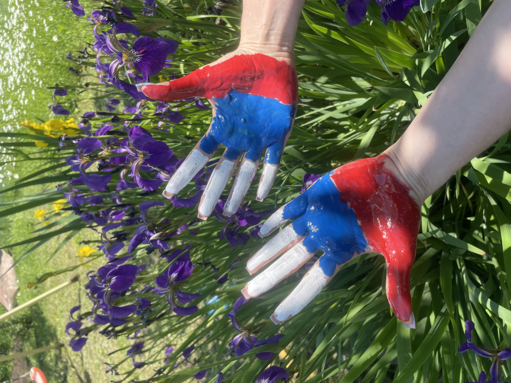 Two human hands are painted with red, white, and blue paint, mimicking the colors of the Russian flag. The hands are positioned in the foreground, with fingers spread apart and palms facing the camera. In the background, a garden setting is visible, featuring purple iris flowers and green foliage. The scene appears to be outdoors on a sunny day. There is no information in the image to suggest it is located in the city of Yasnoe, Russia.