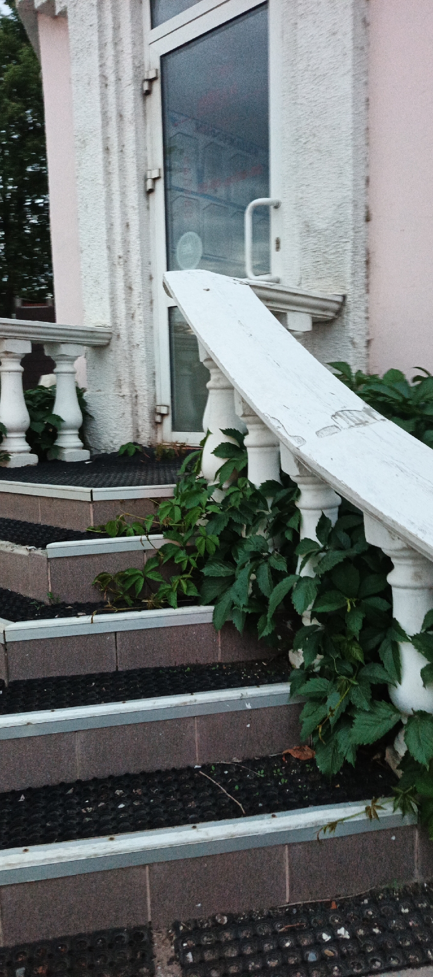 The image shows an outdoor view of a building entrance in Votkinsk, Russia. The focus is on a set of stairs with a white balustrade and a white, roughly cut wooden plank resting on it. Green vines are growing up the balustrade and on the steps. The stairs themselves are made of dark reddish-brown tiles with black matting inserts and silver trim. A glass door with a metal handle is visible behind the balustrade. The building's facade is textured and painted a pale pink. The scene appears to be an exterior view during daylight.