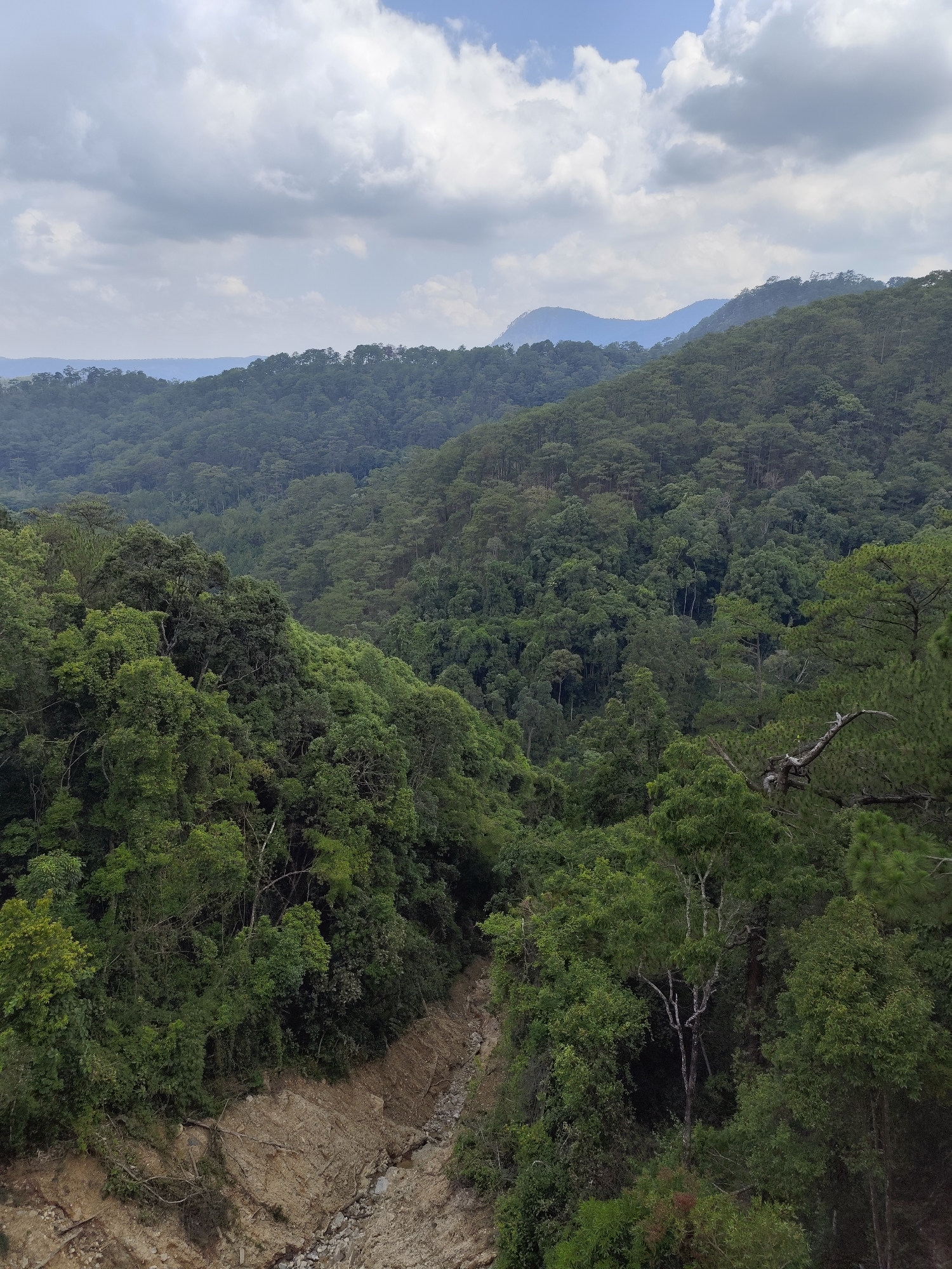 The image captures a vast, densely forested mountain landscape under a partly cloudy sky. The scene is dominated by layers of green hills and mountains stretching into the distance, with a clear sense of depth and atmospheric perspective, as the furthest peaks appear hazy and bluish.
In the foreground and midground, a thick canopy of trees, showing various shades of green, covers the rugged terrain. Many trees, especially on the right side and in the nearer slopes, appear to be conifers with distinct needle-like foliage. A dry, rocky riverbed or gully cuts through the bottom center of the frame, indicating a natural water path that is currently devoid of significant water, revealing eroded banks of soil and scattered rocks.
The sky above is partly cloudy, featuring large, scattered white and grey clouds, with patches of blue sky visible. The lighting suggests it is daytime, possibly late morning or early afternoon, with diffused sunlight. There are no people, structures, or any visible text in the image. The overall impression is one of a serene, untouched natural wilderness, characteristic of a mountainous region. While the location context is provided as Da Lat, Vietnam, there are no specific visual cues within the image to explicitly confirm this.