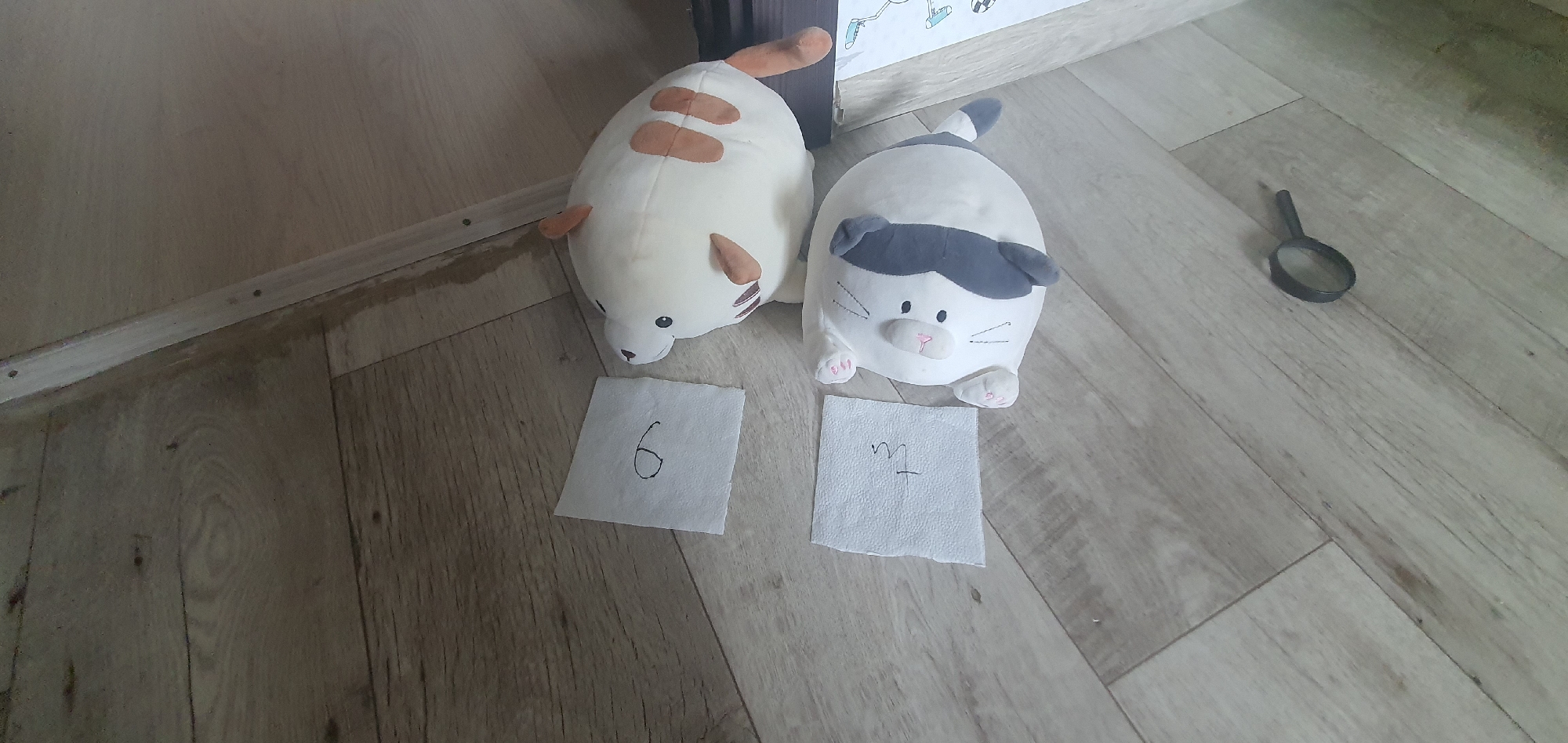 The image shows two plush toys resembling cats on a light-colored wooden floor. One is a cream-colored cat with brown markings, and the other is gray and white with gray markings around its head. Each toy has a square of crumpled white paper with a numeral written on it. The cream-colored cat has the number "6" and the gray cat has what appears to be an "m" (possible shorthand for '7'). A black magnifying glass lies to the right of the gray and white plush toy. The backdrop consists of a white cabinet or shelf and the skirting boards of the room. The specific location in Chaikovsky, Russia, cannot be determined from the image alone.