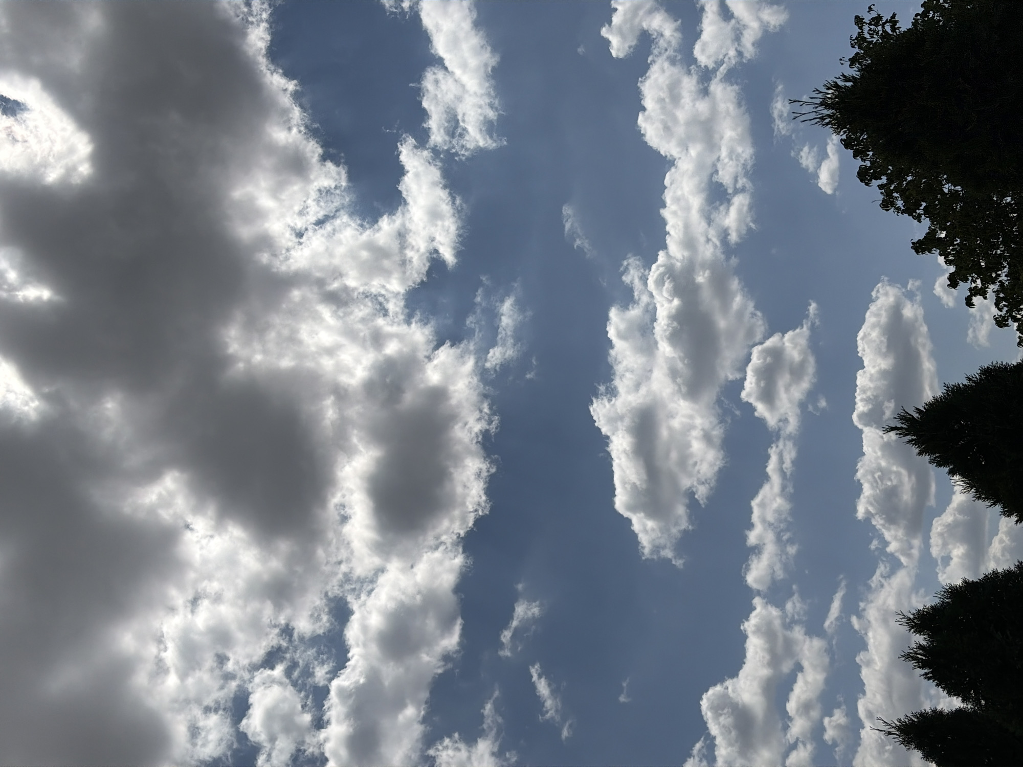 The image shows a sky filled with scattered clouds against a blue backdrop. The clouds range in density, with some appearing wispy and light, while others are larger and darker, suggesting varying levels of sunlight penetration. In the lower portion of the image, the dark silhouettes of evergreen trees are visible, forming a horizontal line against the sky. The scene appears to be an outdoor environment, likely a natural setting or a park within the city of Oxentea, Moldova, given the characteristic evergreen foliage. There are no people or discernible actions depicted in the image.