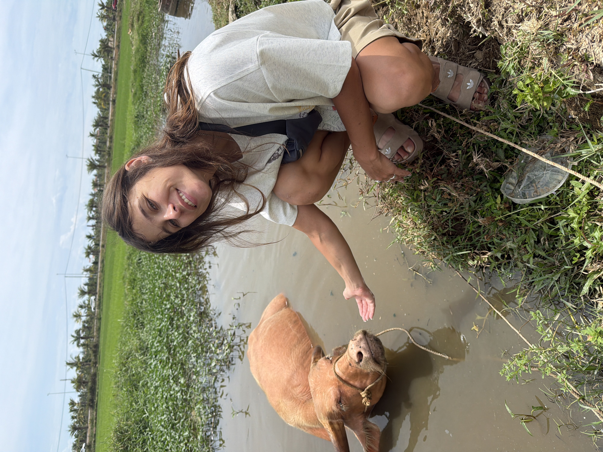 A young woman with long brown hair and a light-colored t-shirt is squatting near a body of water. She is reaching out her right hand towards an albino water buffalo that is partially submerged in the murky water. The buffalo has a rope around its snout. The environment appears to be rural, with lush green vegetation and palm trees in the background, characteristic of the outskirts of Hoi An, Vietnam, likely near rice paddies or canals. The sky is partly cloudy.