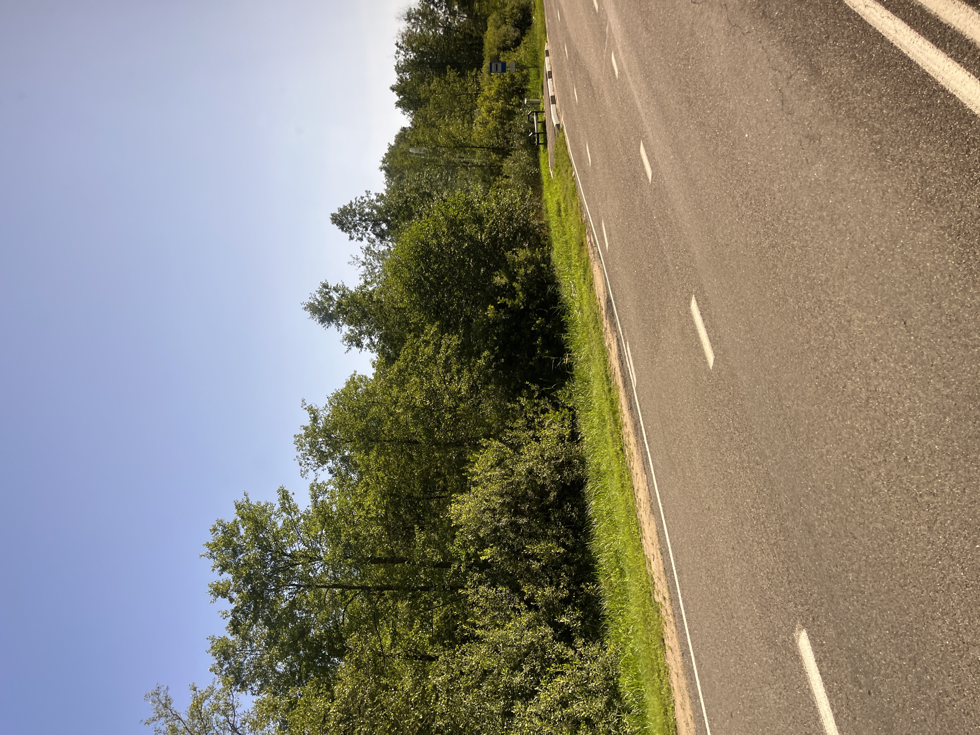 This is an outdoor, eye-level, medium shot image of a road in an area with lush green trees. The road, which appears to be asphalt, has white dashed lines marking the lanes and a solid white line along the right edge of the paved surface. To the left of the road is a grassy shoulder. Beyond the shoulder, dense green trees and bushes form a wall of foliage. In the distance, on the right side of the image, there is a bus stop with a bench and a blue sign. The sky is a clear, pale blue with no visible clouds. The image captures a rural or semi-rural setting, likely a road leading through a wooded area in the Мядзельскі сельскі Савет, Belarus. There are no people visible in the image.