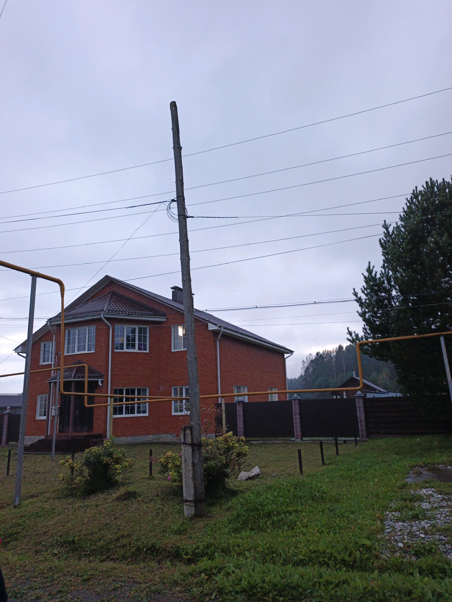 The image depicts a residential property on an overcast day in Medvedyovka, Russia. A two-story, red brick house with a dark-colored, gabled roof dominates the center of the frame. The house has numerous white-framed windows and a covered entrance with a dark door. Yellow gas pipes are visible along the exterior of the house and running across the property.
In the foreground, a wooden utility pole with electrical wires attached stands to the right of the house, and another similar pole is to the left. The ground is covered with green grass and some gravelly areas. Several small bushes with yellow and pinkish flowers are planted in front of the house. A dark brown wooden fence runs along the property line behind the house, with a wooded hillside visible in the background. A tall evergreen tree stands to the right of the house, partially obscuring the view of the fence and hillside. The sky is heavily clouded, suggesting a cool or damp atmosphere. There are no people or animals visible in the scene.