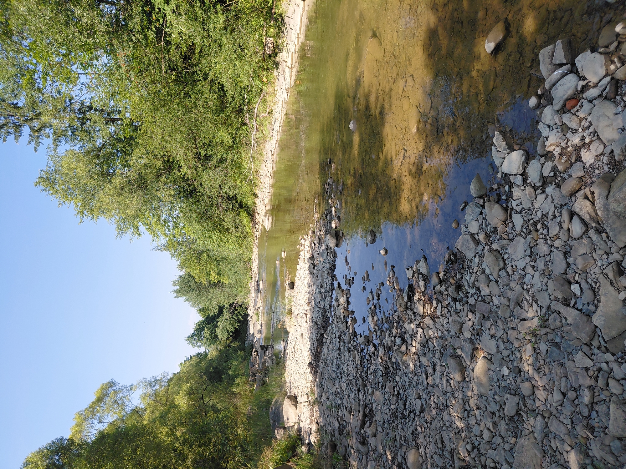 The image depicts a shallow, clear river flowing through a wooded area. The riverbed is comprised of numerous rocks and pebbles of varying sizes. Lush green trees and foliage line both banks of the river, with some sunlight filtering through the leaves, creating dappled patterns on the water's surface and the riverbank. The sky above is a clear, bright blue. The scene appears tranquil and natural, suggesting a rural or park-like setting. No people are visible in the image. The location is identified as Chernyk, Ukraine.