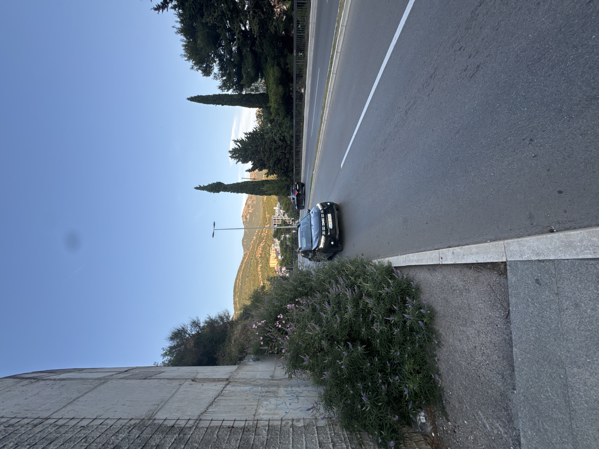 This is a vertically oriented, eye-level, medium shot of a street scene in Boreti, Montenegro. The image is dominated by a clear, bright blue sky and lush green foliage. A paved road runs diagonally across the right side of the frame, marked with a white line. Two black cars are visible on the road, one further back than the other. In the background, a mountainous landscape with buildings nestled on its slopes is visible under the clear sky.
To the left of the road, a large, well-maintained bush with small purple flowers and green leaves occupies a significant portion of the foreground. This bush is positioned next to a concrete wall that extends across the bottom of the image. The wall shows signs of wear, with some graffiti visible. The scene appears to be set during the daytime, likely late afternoon or early evening, given the warm quality of the light. The weather is clear and sunny. The overall impression is one of a peaceful, scenic urban environment. No people are clearly visible in the frame. The license plate of the front car is partially visible, reading "BA-90503".