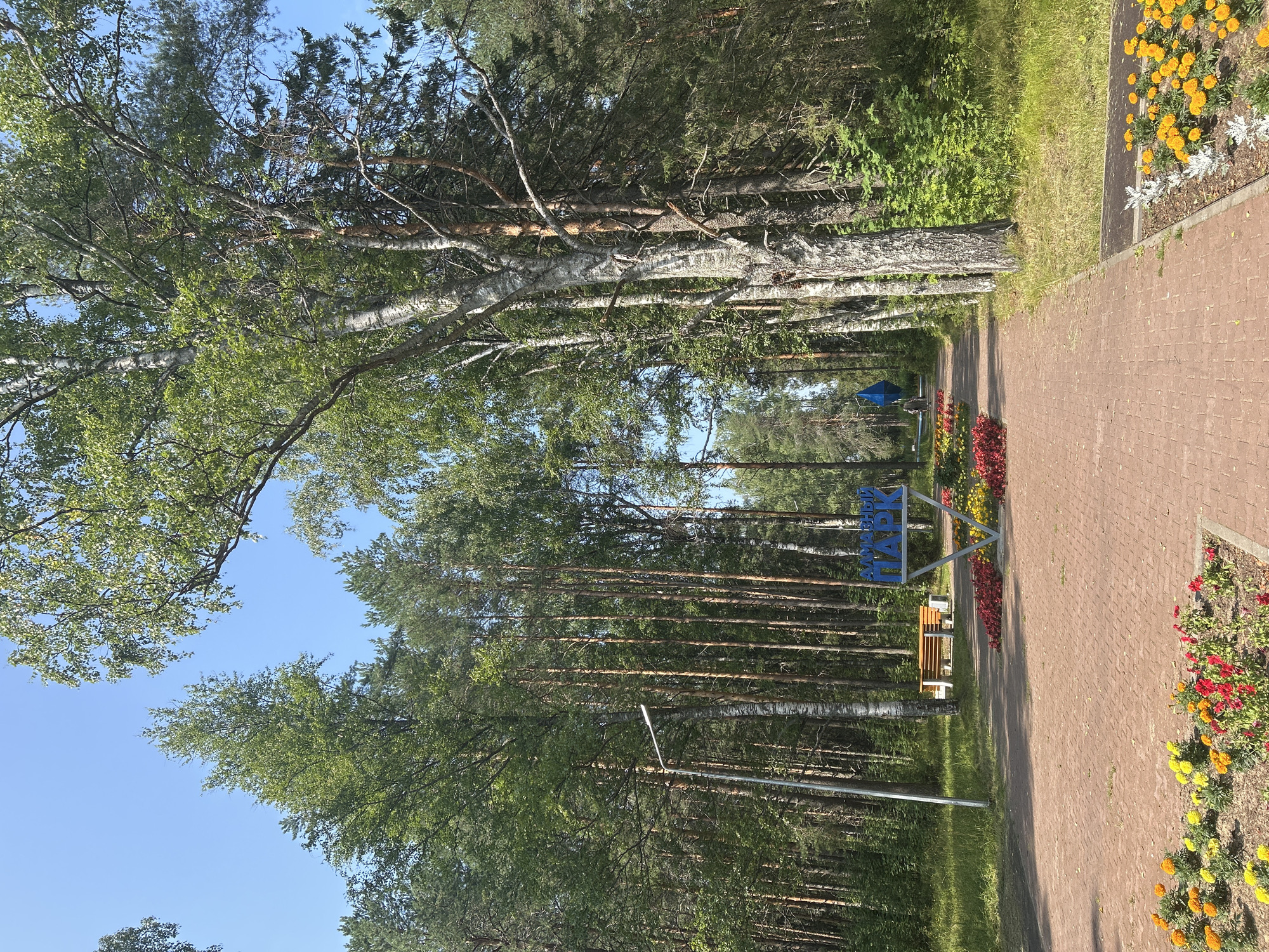 The image depicts an outdoor scene in a park, likely in Krasnovishersk, Russia, given the signage. A brick pathway leads into a wooded area, bordered by grass and flowerbeds. Several tall trees, including pines and birches, dominate the landscape. In the mid-ground, a sign with blue lettering spelling "АЛМАЗНЫЙ ПАРК" (Diamond Park) is visible, supported by a triangular frame. Adjacent to the sign, a wooden bench sits near a lamppost. Further down the path, a vibrant blue abstract sculpture is present, with a person walking in the distance. The sky is clear and blue. The foreground features more flowerbeds with colorful marigolds and other red and yellow flowers. The scene appears tranquil and well-maintained, suggesting a public recreational space.