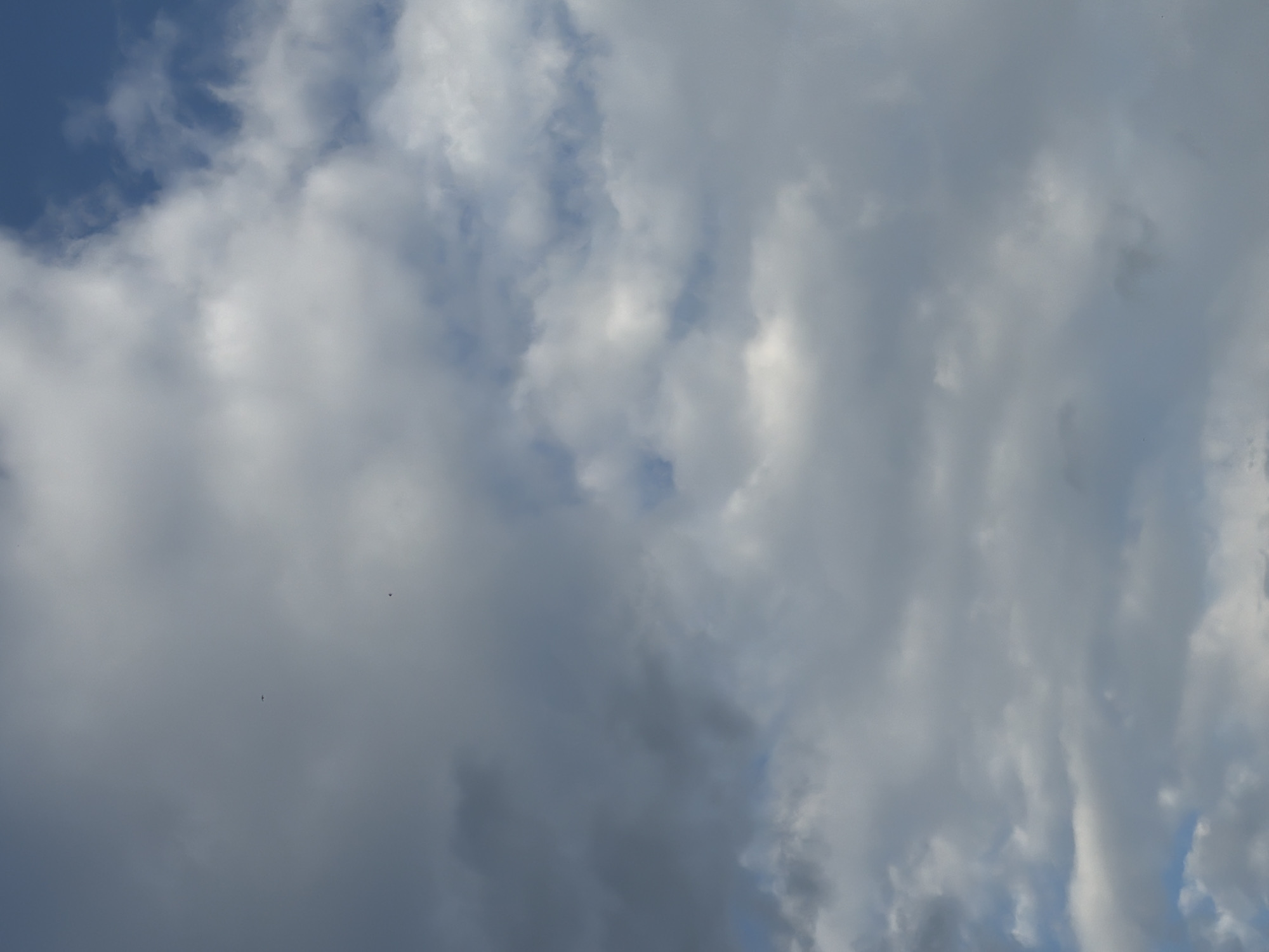 This media file is a photograph of a sky filled with dramatic clouds, likely taken on a partly cloudy day. The clouds vary in texture and density, with some appearing bright white and fluffy, suggesting sunlight is illuminating them from above. Other clouds are darker and more ominous, hinting at potential rain or storm activity. Patches of blue sky are visible through the clouds, indicating that it is daytime.
In the lower left quadrant of the image, there are two very small, dark specks that appear to be birds in flight. One is positioned slightly above and to the right of the other. The presence of birds suggests an outdoor environment, possibly during daylight hours. There is no visible text in the image. The overall mood of the image is one of natural grandeur, with the dynamic cloud formations creating a sense of movement and depth. The lighting suggests it could be midday or late afternoon, as the sun's position is not clearly defined but provides distinct highlights and shadows on the clouds.
