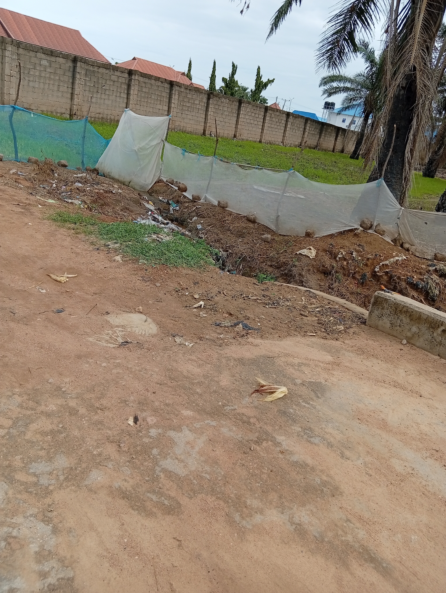 The image depicts an outdoor scene, likely in Jalingo, Nigeria, characterized by a dirt path in the foreground and a fenced-off area beyond. The fenced area contains some sort of agricultural setup with white sheeting covering mounds of earth, possibly for protection or cultivation. A blue net is visible on the left side of the fenced area, and the ground within is covered with dry vegetation, debris, and some patches of green grass.
In the background, a tall concrete wall runs horizontally across the frame, with red-tiled roofs of buildings visible behind it. Palm trees, some with dry fronds, are prominent on the right side of the image, suggesting a tropical or subtropical climate. The sky is overcast, indicating a cloudy day. A lizard with orange and blue coloring is visible on a concrete ledge in the middle ground, adding a touch of wildlife to the scene. There is no visible text in the image. The overall impression is one of a developing or rural area, with elements of both construction and natural landscape.