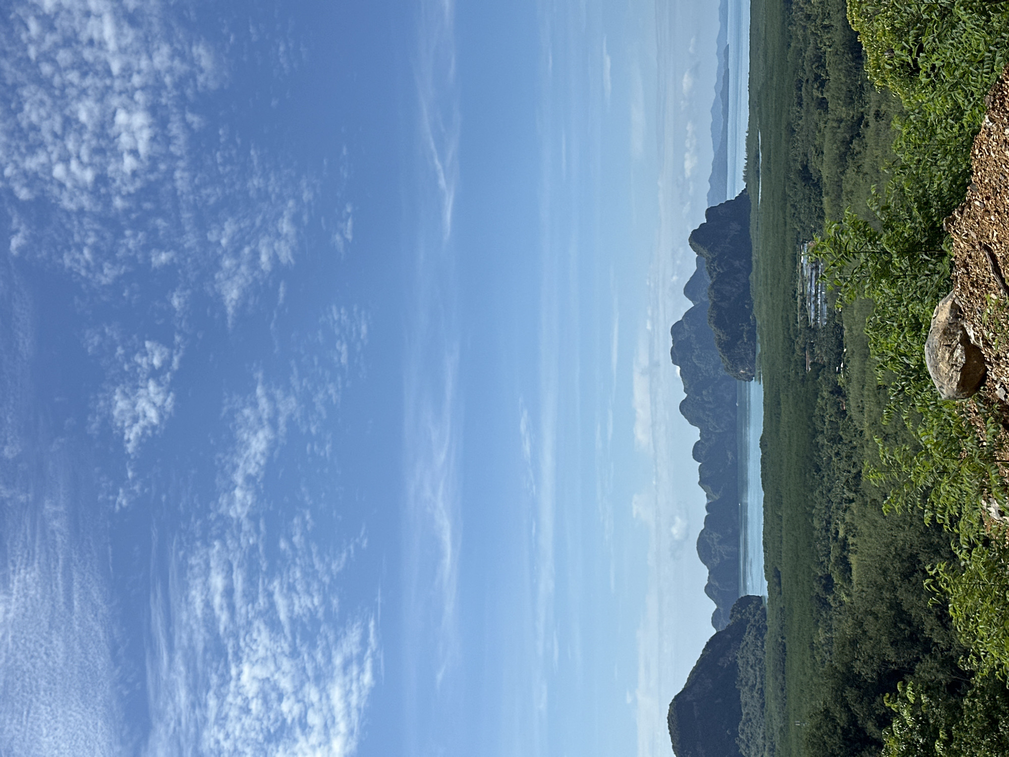 The image depicts a panoramic view of a tropical landscape under a bright, partly cloudy blue sky. In the foreground, there is a rocky, dirt embankment with lush green foliage growing out of it. The middle ground is dominated by a vast, dense forest that appears to be a mangrove forest, with a body of water visible beyond it. Several islands with steep, tree-covered slopes rise dramatically from the water, forming a picturesque archipelago. The distant horizon is marked by more islands and a hazy sky. The scene is serene and natural, suggesting a remote or undeveloped location. There are no people or animals visible in the image. The overall impression is one of natural beauty and tranquility.