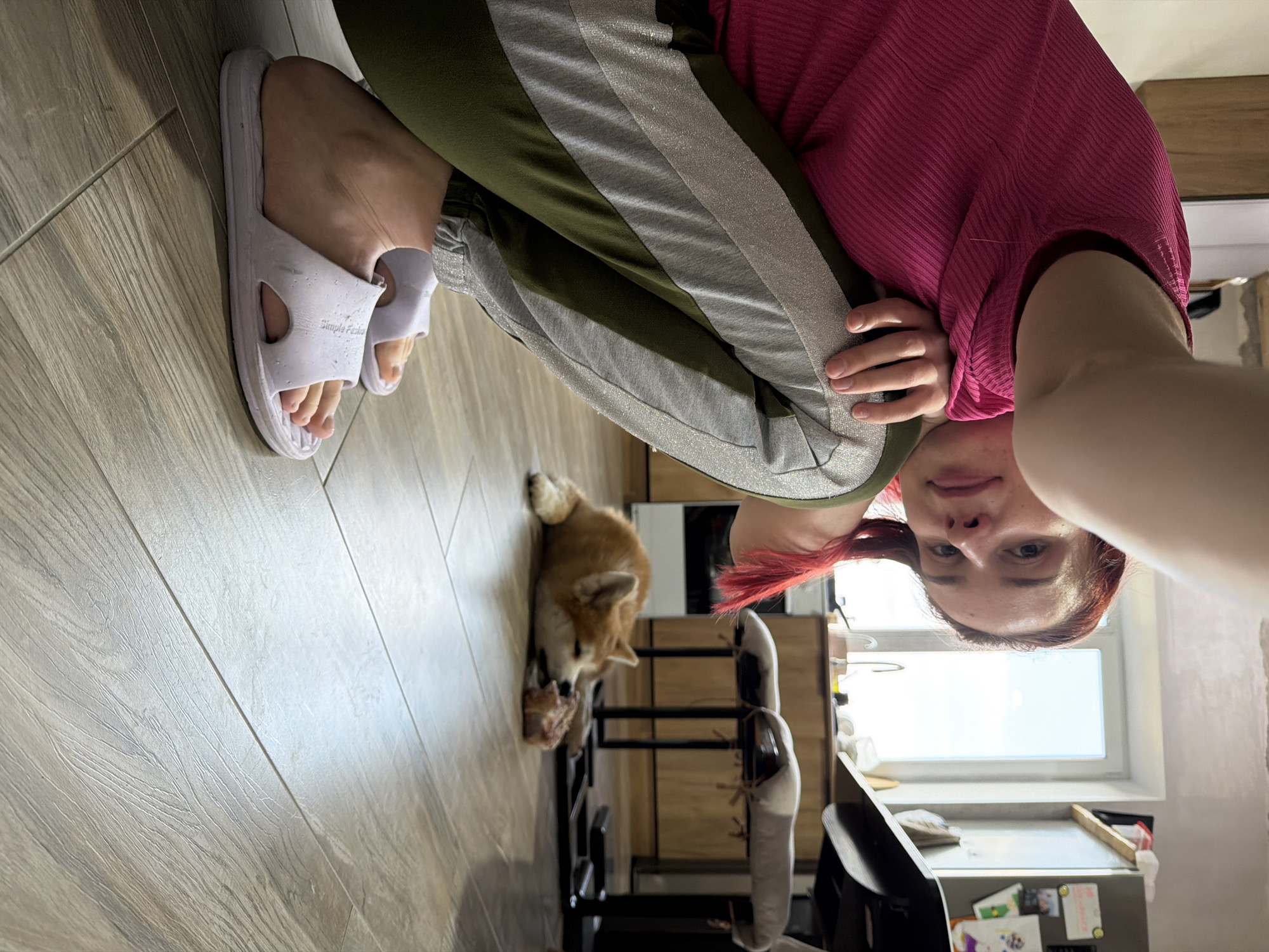 A person is kneeling on a wood-grain floor, wearing a pink long-sleeved shirt, green sweatpants with silver stripes, and white slippers. A corgi dog is on the floor eating a bone. A dining table and chairs are in the background, along with a window. The location is Chaikovsky, Russia.