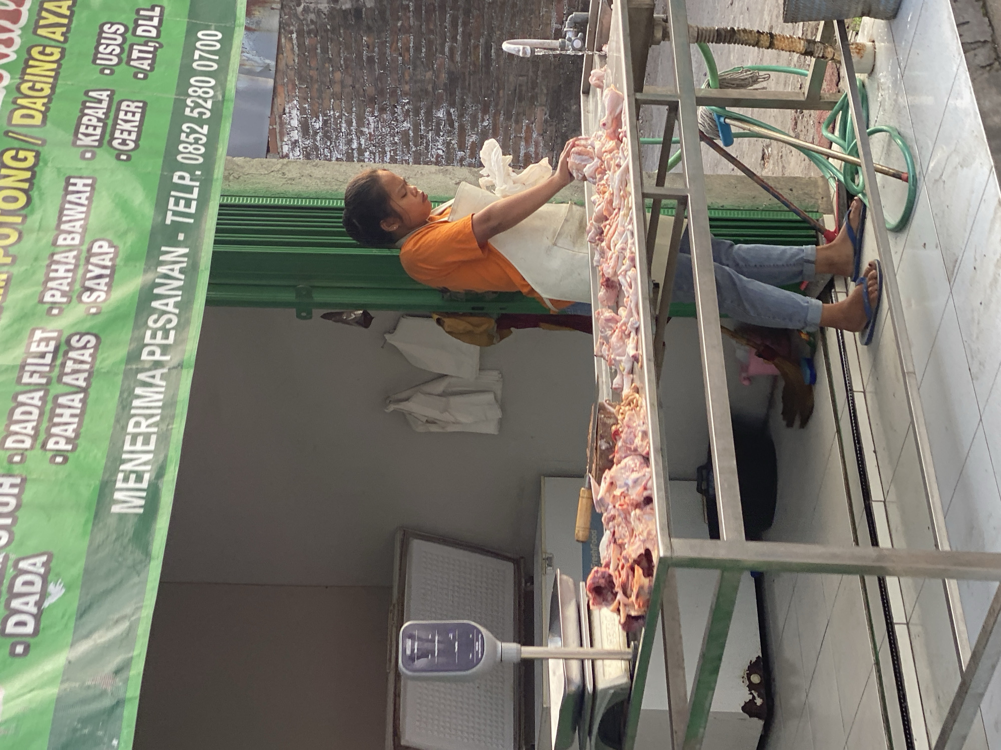 In Kasihan, Indonesia, a young woman is working at a butcher stand. She is wearing an orange t-shirt and a white apron over blue jeans. She is standing behind a stainless steel table laden with cut chicken parts, and she is in the process of handling a piece of chicken. To her left, a scale with a digital display is positioned on another stainless steel surface. In the background, a chest freezer is open, and several white aprons are hanging on the wall. A green metal gate is visible behind the woman, and beyond that, a brick wall. The scene suggests a busy marketplace or food stall.