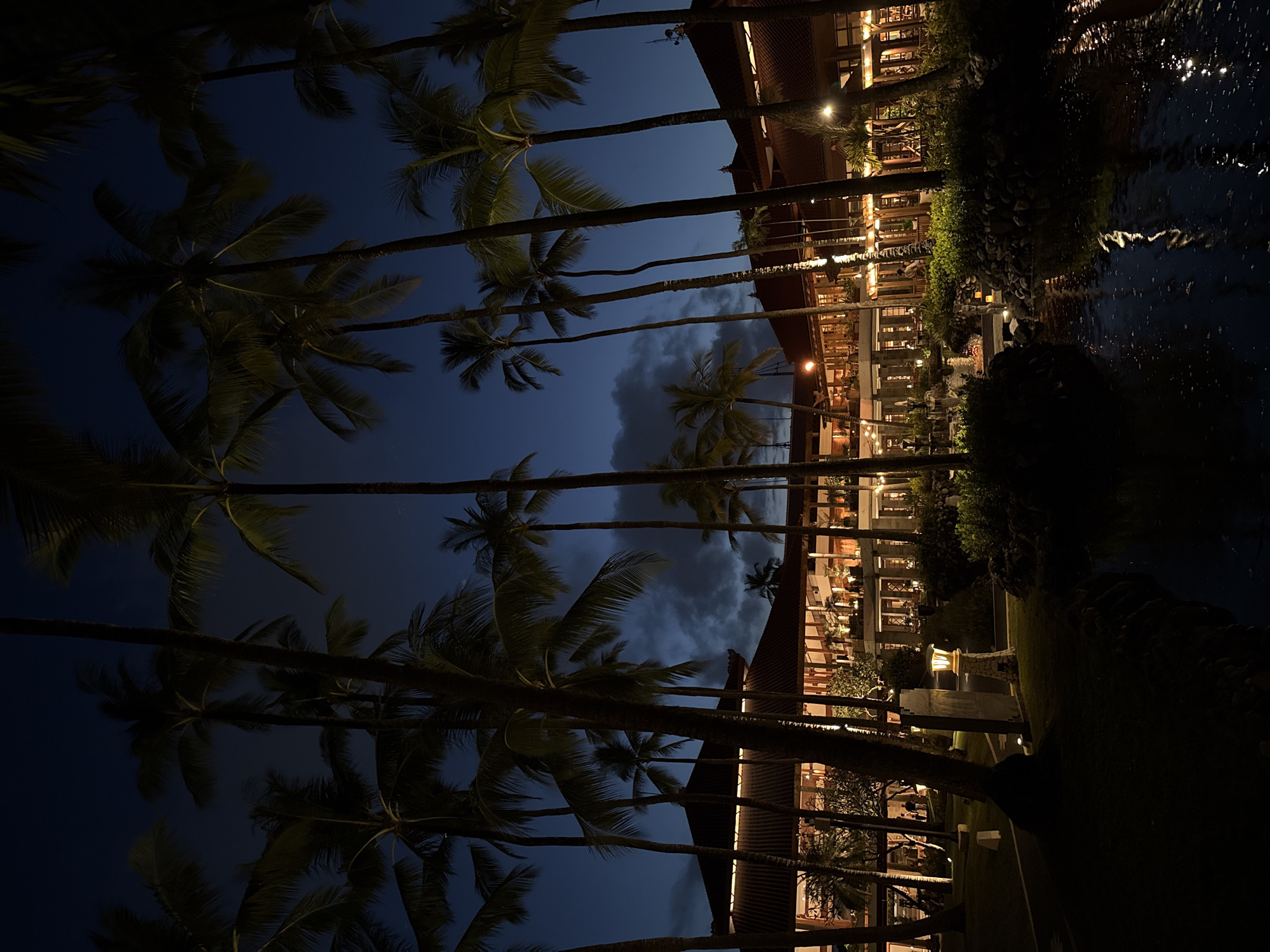 The image captures a vibrant and serene evening scene at a tropical resort in Kuta Selatan, Indonesia. Numerous tall palm trees, some silhouetted against the deep blue night sky, stand prominently across the left and central portions of the frame. To the right, a multi-story building, likely a hotel or resort, is brightly illuminated with warm, golden lights emanating from its many windows, balconies, and exterior fixtures, including decorative string lights.
A tranquil body of water, possibly a pond or pool, occupies the far right of the image, beautifully reflecting the illuminated building and surrounding foliage. Lush landscaping, featuring bushes and rocky formations, borders the pathways and the water's edge.
No specific human activity or people are distinctly visible, but the well-lit and inviting atmosphere of the resort suggests an active evening with guests potentially dining, socializing, or relaxing. The time of day is clearly night or late evening, as indicated by the dark sky, although some soft cloud formations are faintly visible. The weather appears calm and clear. The overall ambiance evokes feelings of luxury, relaxation, and tropical escape. There is no visible text in the image.