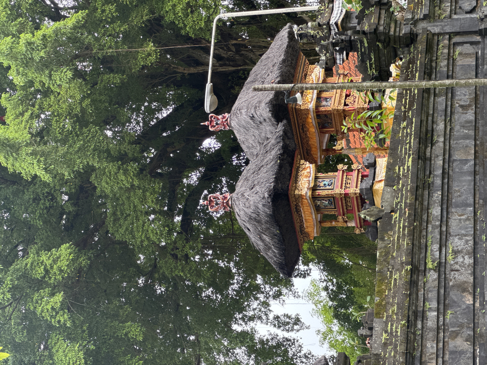 This image depicts a traditional Balinese temple structure, likely a Pura, nestled within a vibrant tropical landscape. The temple features a distinctive multi-tiered roof, appearing dark grey or black, and possibly constructed from ijuk (palm fiber thatch). An elaborate, reddish-orange finial or crown-like ornament, adorned with intricate designs, crowns the roof's peak. Below the roof, the temple's lower sections are richly embellished with intricate gold, red, and other colored carvings or paintings, showcasing traditional Balinese motifs.
To the right of the temple, dark grey, layered stone walls or steps, possibly made of volcanic rock, are visible, displaying patches of bright green moss or lichen, indicative of a humid environment. Dense green foliage from large, tropical trees, likely banyans, forms a thick canopy in the background and upper left, providing deep shade. Glimpses of a bright, overcast sky are visible through the leaves. A grey, curved street light fixture or utility arm extends from the upper left, partially obscured by the temple roof. A horizontal grey bar or pipe also crosses the mid-right section of the frame.
The scene is devoid of people or specific activities, conveying a sense of tranquility and spiritual calm. The diffused natural light suggests an overcast day or a heavily shaded area. The unique architecture and abundant tropical greenery strongly identify the location as Kuta Selatan, Indonesia, reflecting Balinese cultural and natural heritage. No visible text is present in the image.