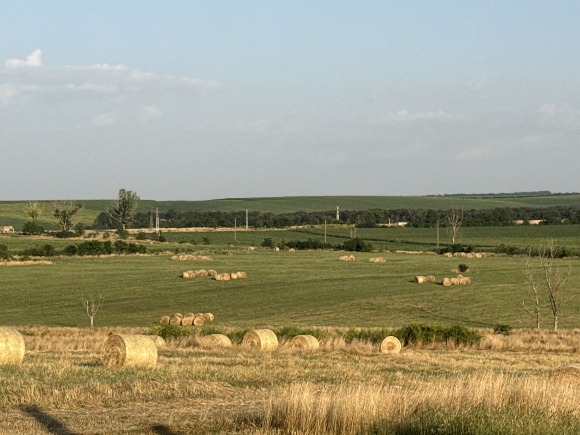 The image depicts a rural landscape in Belitsa, Bulgaria, featuring a harvested field with numerous round hay bales scattered across it. The field is predominantly green with patches of dry, golden grass in the foreground, suggesting a recent harvest. In the mid-ground, a large green field is dotted with hay bales, some grouped together and others spaced apart. Further in the background, rolling hills covered in green vegetation form the horizon, with a line of trees bordering the fields. The sky is a pale blue with scattered, wispy clouds, and the lighting suggests it is late afternoon or early evening. The scene is devoid of any people or animals, emphasizing the agricultural nature of the location.