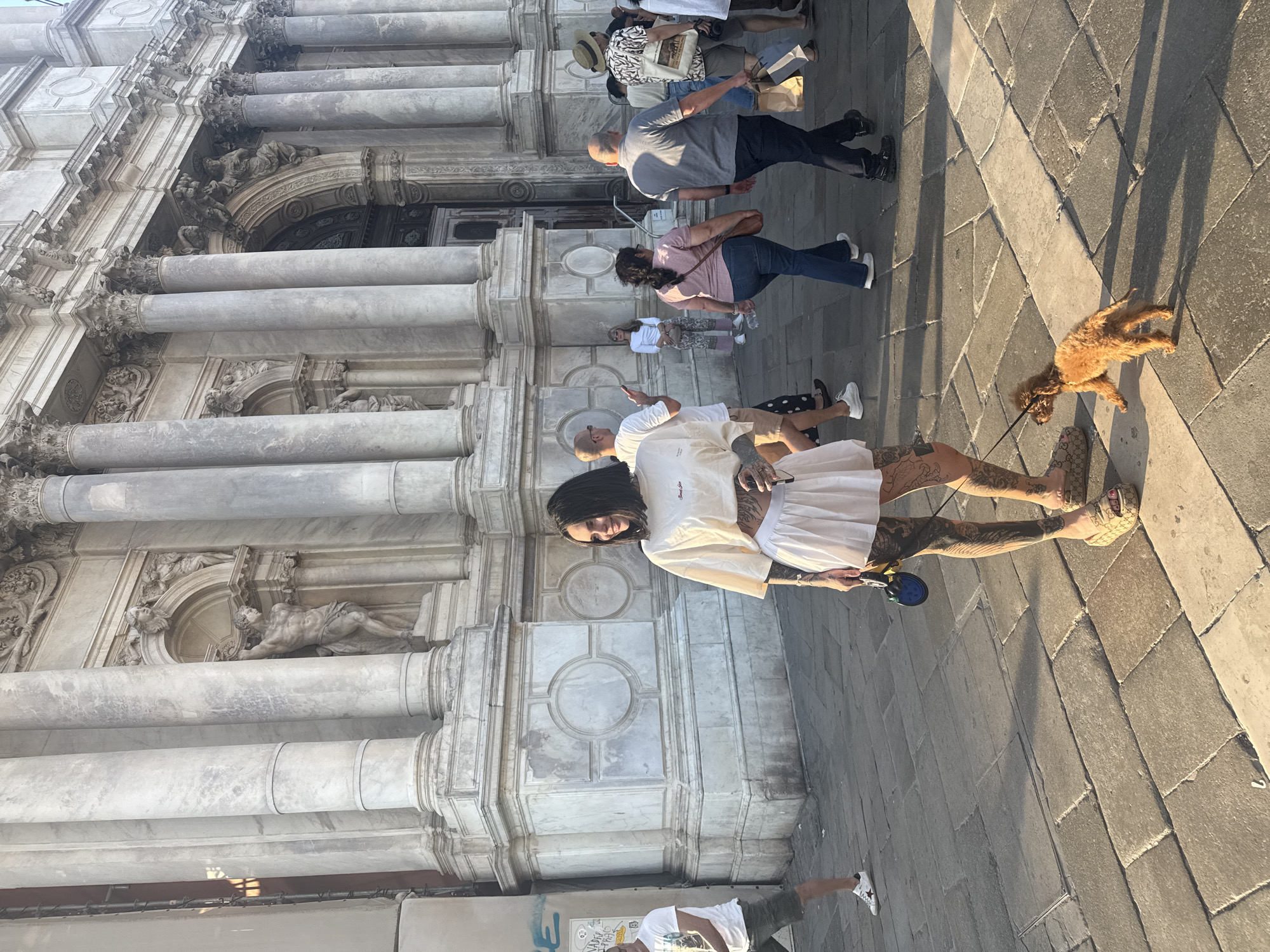 A street-level, medium shot of a group of tourists on the street beside a tall building in Venice, Italy. The building's facade is ornate, white, and tall with rows of columns and statues of humans as decorations. The tourists are mostly walking from left to right in the middle ground of the image. In the foreground, a dark-haired person with many tattoos walks a medium-sized dog, which is brown. The person wears white clothing. The street is brick and the light is yellow and bright, suggesting this is a sunny day. In the background, there are more people.