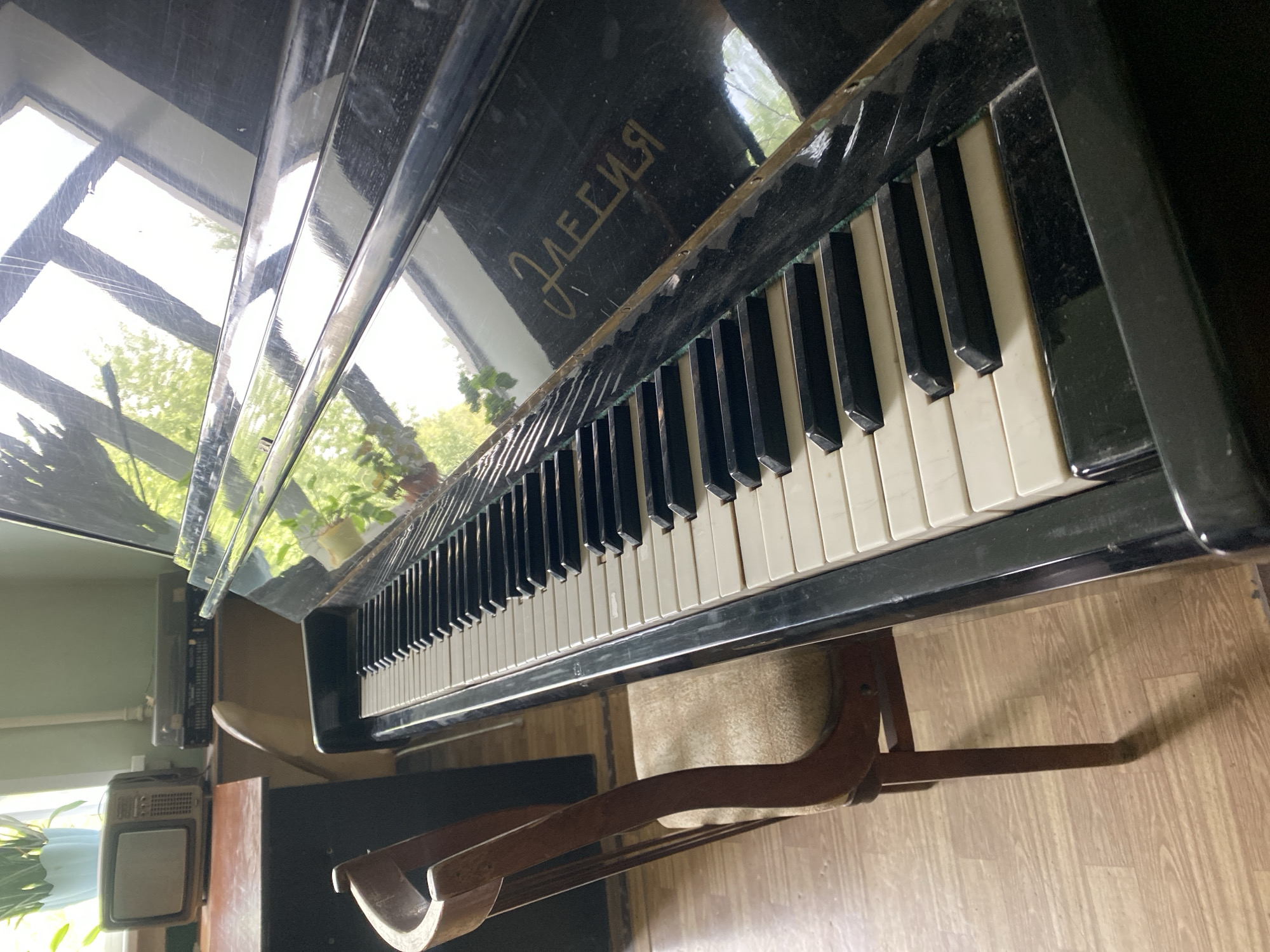 A medium shot depicts a black upright piano with its keyboard in full view. The piano's keys are a mix of white and black, reflecting light from a nearby window. The piano is situated indoors, likely in a home. A piano stool with a light-colored cushion is partially visible beneath the piano. The piano's surface reflects a distorted image of the surrounding environment, including a window and foliage. The reflection indicates the piano is positioned near a window. Part of a wall is visible in the background, painted in a light green shade. Additionally, a retro television and speaker are located near a plant, both of which are adjacent to the piano's left side. The name on the piano is "Элегия" (Elegia), a common Russian piano name. Given the Russian name, the location is most likely Yekaterinburg, Russia. The flooring is made of wooden planks.