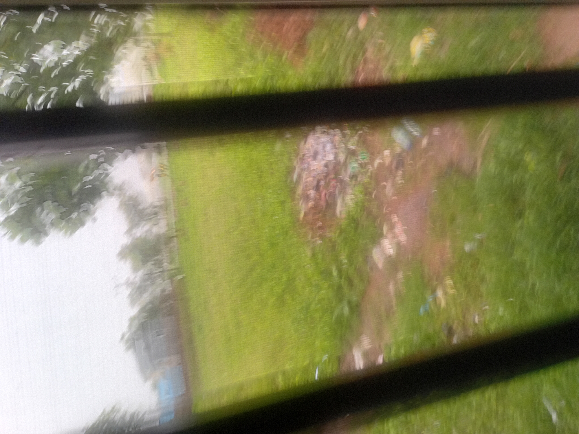 The image, taken from behind bars, shows a blurry outdoor scene in Jauro Yinu, Nigeria, on a cloudy day. A patch of green grass fills the majority of the frame, with a dirt path running through it. Scattered on the path and grass are various pieces of trash, including plastic bottles and bags. In the background, a simple house with a blue trim is visible, along with trees and other foliage. The overall impression is of a somewhat neglected outdoor area, possibly a yard or a communal space.