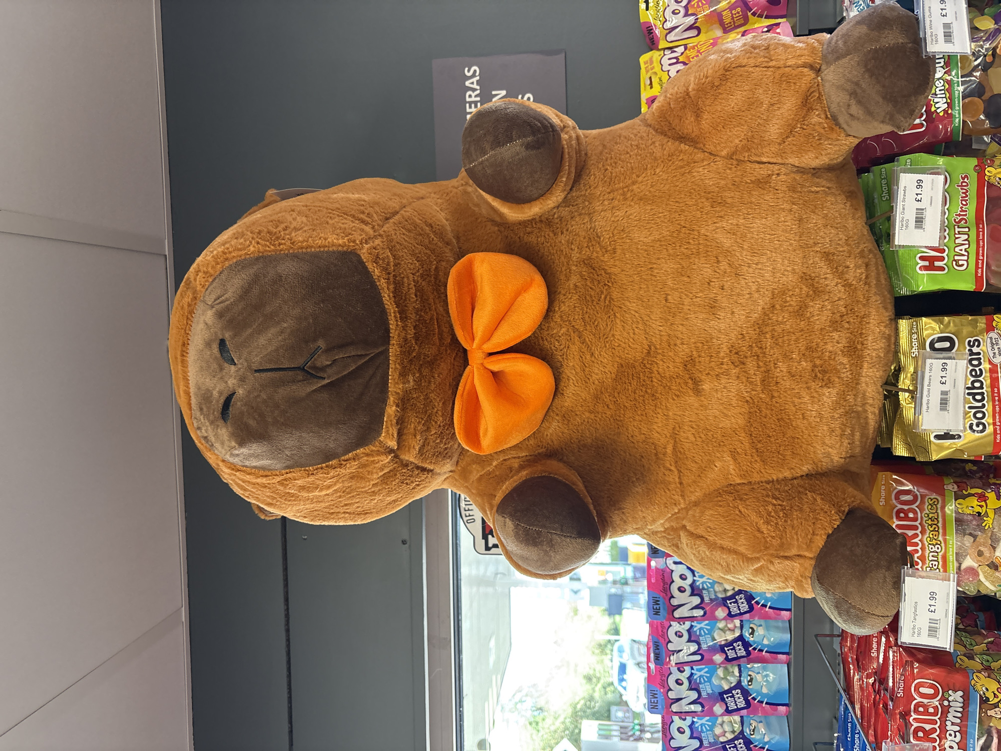 A plush toy of a brown animal, possibly a deer, with a large orange bow, rests atop shelves stocked with various candies and sweets. The shelves are located in a shop, presumably in Oswestry, United Kingdom, as indicated by price tags in British pounds. The candies include brands like Haribo, featuring items like "Giant Strawbs", "Goldbears", "Tangfastics", and "Wine Gums". A sign for "Noon" brand candy is also visible. The background shows a window, partially obscured by the shelves, suggesting an interior view of a store.