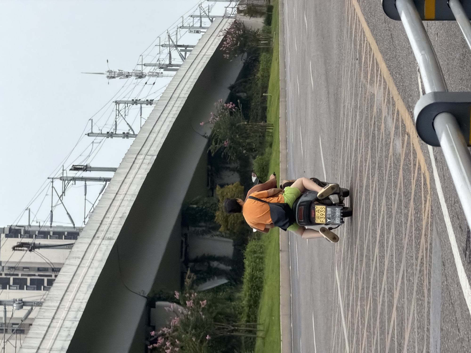 In the city of Jiangjin, China, two individuals are seen riding on a scooter. The person in the back is wearing an orange t-shirt and green shorts, with a black bag slung across their shoulder. Their feet are resting on the scooter's rear footrests. The scooter has a yellow license plate with the characters "A F393S". They are on a paved road with distinct yellow and white lane markings. In the background, a large concrete overpass with visible electrical wires and utility poles stretches across the scene. Beneath the overpass, there is lush green vegetation, including trees with pink blossoms and ivy-covered structures. The sky is overcast, suggesting a cloudy day.