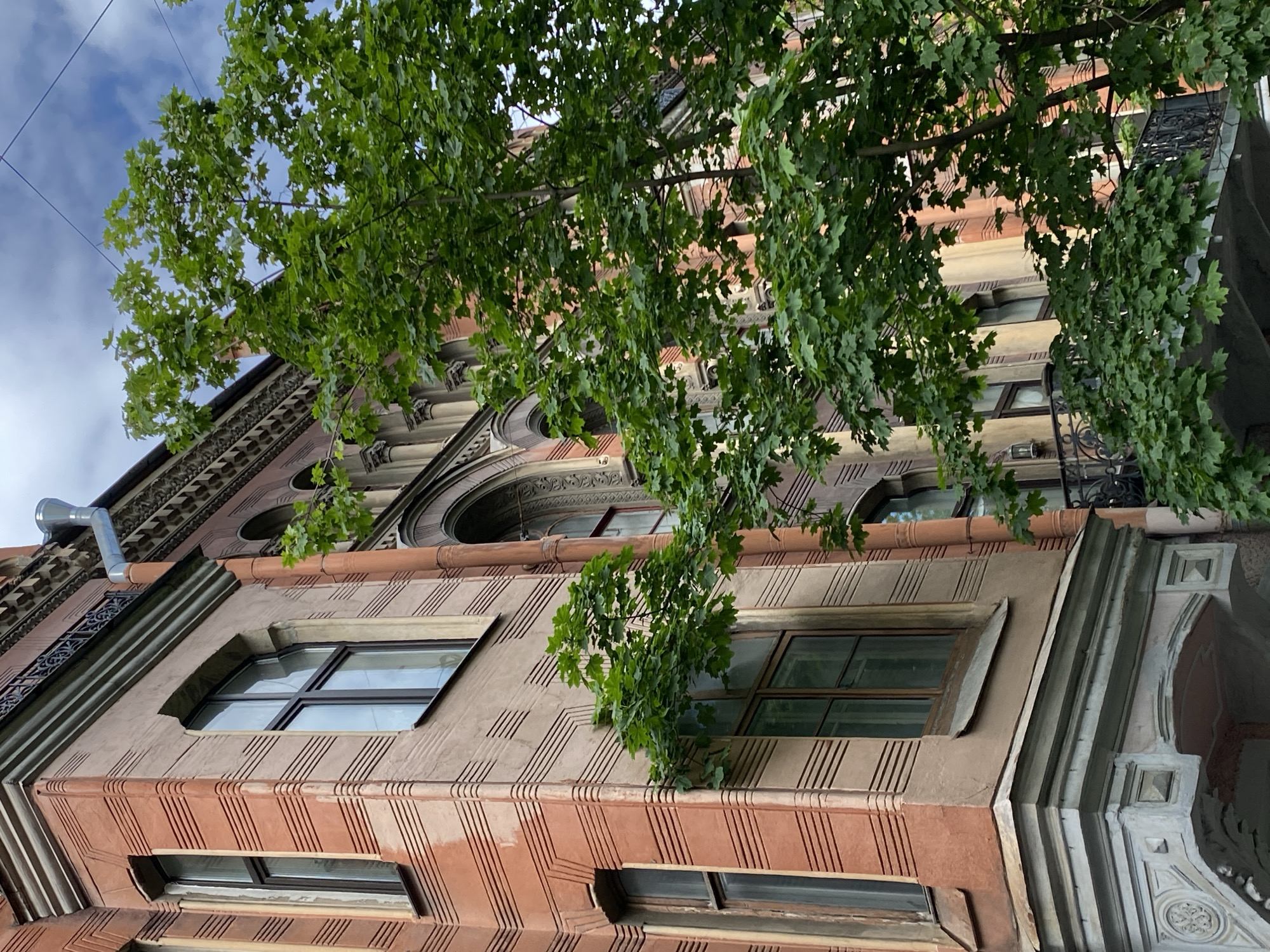 The image captures an upward-angled view of an ornate, multi-story building in Saint Petersburg, Russia, partially framed and obscured by the lush green canopy of a large tree. The building's facade features sections of reddish-brown and lighter beige material, possibly stucco or stone, with decorative etched lines creating a textured pattern, especially on the reddish-brown areas. Architectural details include intricate cornices, decorative pilasters, and various window shapes, such as rectangular, trapezoidal, and arched openings, many with multiple panes. Wrought-iron railings are visible as part of balconies or window surrounds on the upper levels. A silver-colored downspout is attached to the upper left portion of the building.
The abundant, vibrant green leaves of the tree dominate the foreground and central parts of the image, suggesting springtime or summer. Above the tree and to the left, a clear blue sky with some soft white clouds is visible, indicating a bright daytime setting. Thin, dark lines, possibly overhead power or tram wires, cut across the visible sky. No human activity or visible text is present in this static urban scene.