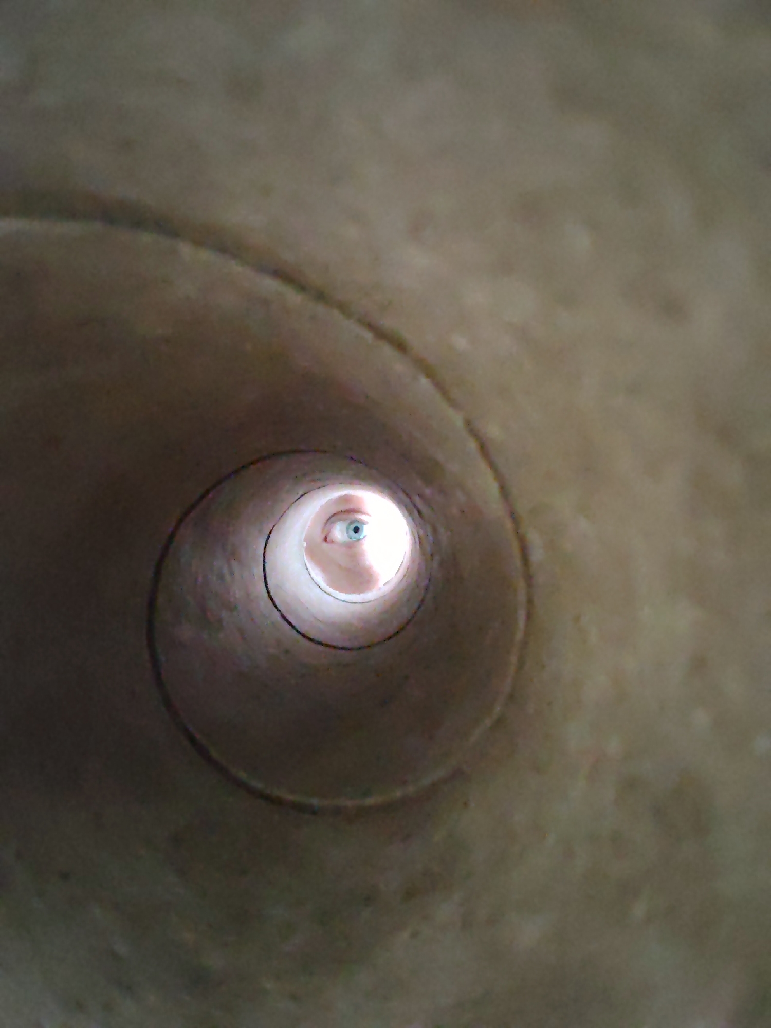 An eye is visible at the end of a tan, cylindrical tube. The iris appears to be blue. The tube's interior is illuminated with bright light at the far end. The image's perspective suggests a view from inside the tube. There is no further information about the location of the city of Chaikovsky, Russia.