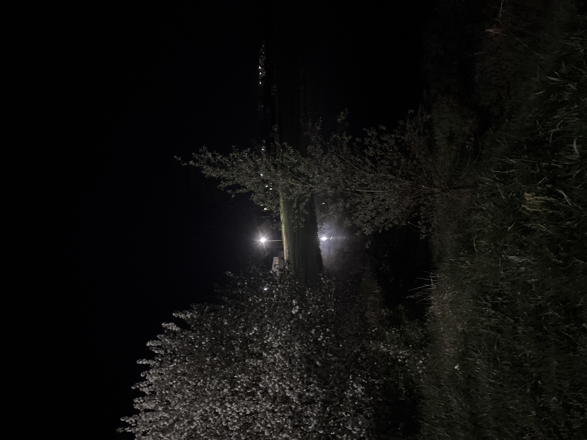 The image depicts a night scene near Фоки, Russia. A tall telecommunications tower rises behind trees and foliage. A street light illuminates the scene. Patches of grass and vegetation are visible. The overall lighting is low.