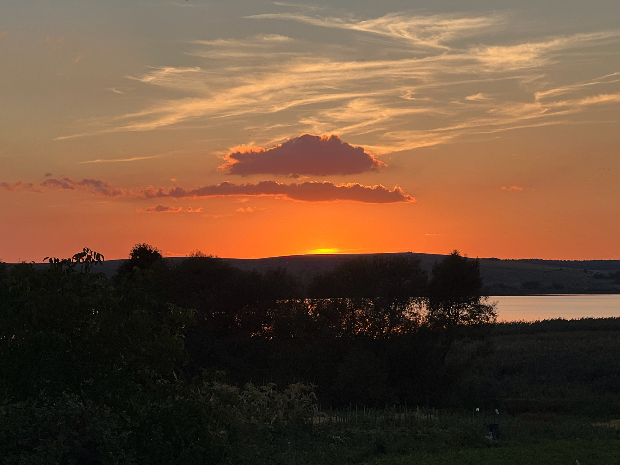 The image depicts a natural landscape at sunset, likely in or near Vertelka, Ukraine, given the context. The sky is a vibrant gradient of orange, transitioning to a lighter hue at the top where wispy clouds are visible. A prominent, darker cloud is suspended in the mid-sky, edged with the warm glow of the setting sun. Below the sky, a dark silhouette of trees and foliage forms the middle ground, with a body of water, possibly a lake or river, visible behind them. The far background features rolling hills, also silhouetted against the colorful sky. The foreground is dominated by dark vegetation, suggesting a natural, undeveloped area. No people or animals are discernible in the scene. The overall impression is one of a serene, natural environment during the golden hour.