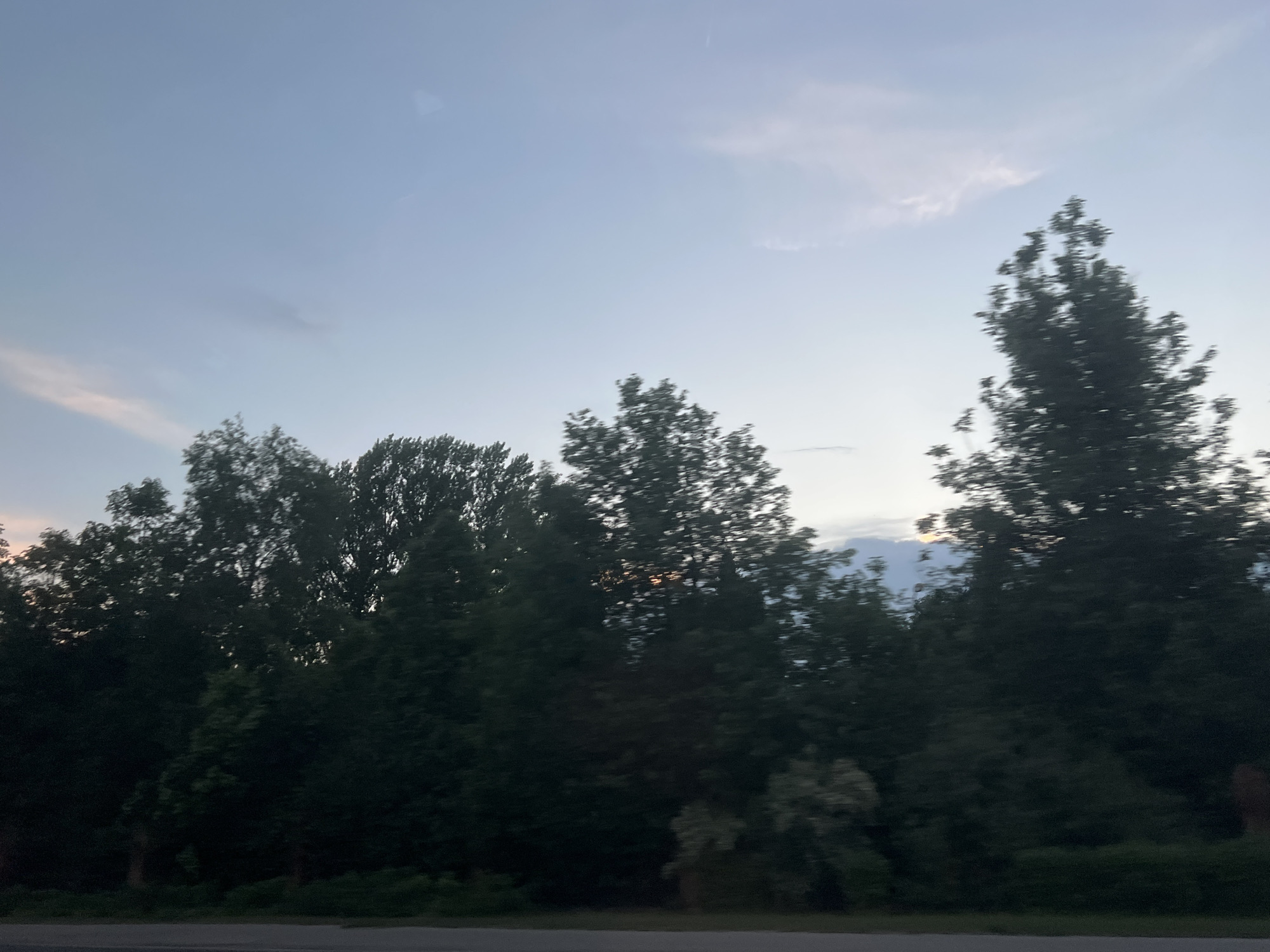 The image depicts a line of trees silhouetted against a twilight sky. The trees vary in height and shape, with the tallest tree located on the right side of the frame. The sky is a mix of light blue and gray, with a few scattered clouds. The scene appears to be taken from a moving vehicle, with a road visible in the foreground. The location is Unknown, Unknown.