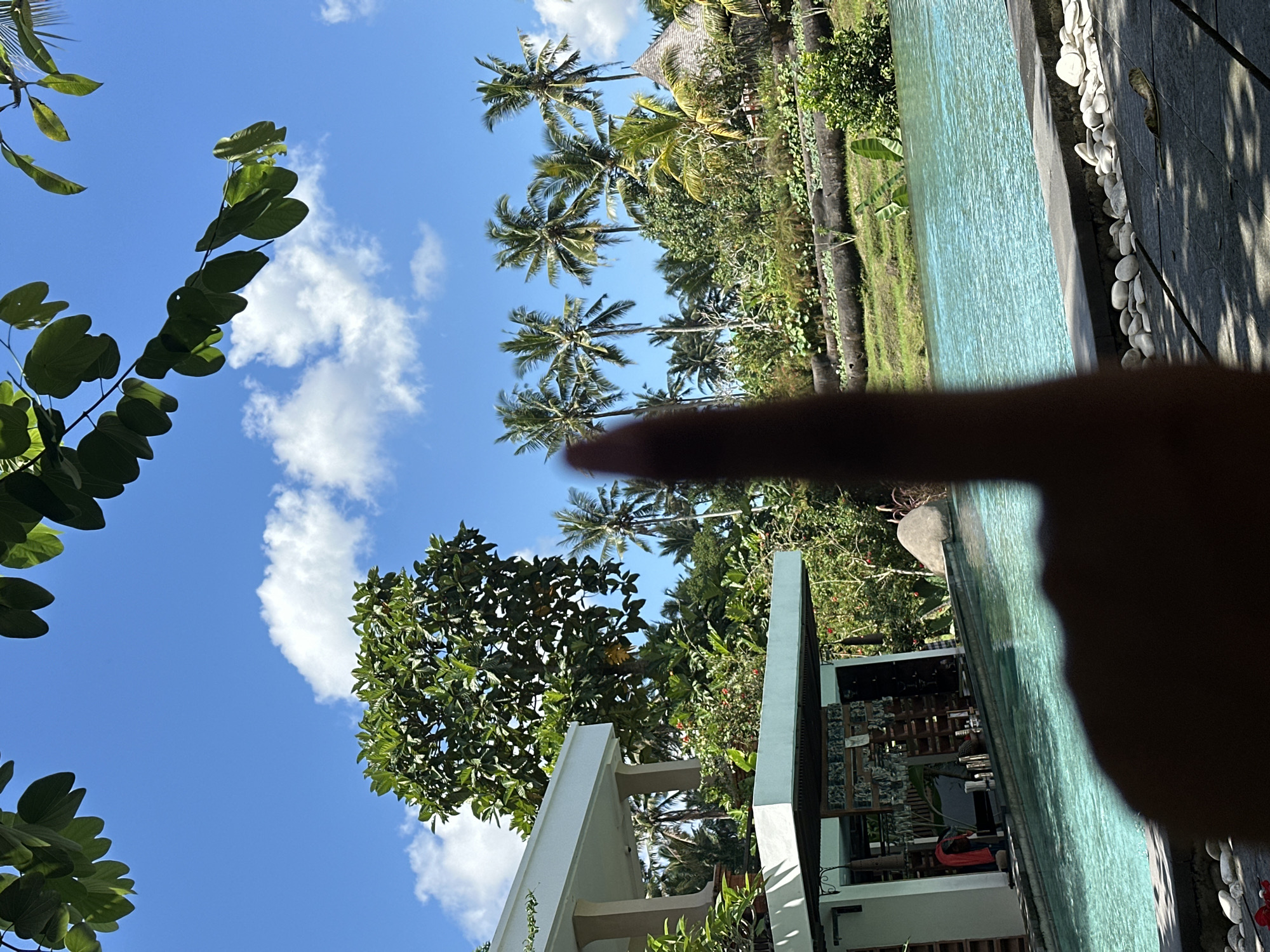 This outdoor shot, taken in Ubud District, Indonesia, features a tropical scene of palm trees against a blue sky dotted with clouds. In the lower left, the branches of a tree with large, heart-shaped leaves are visible. A building with a white facade is also present. A swimming pool runs along the right side of the frame, bordered by gray tiling and white decorative stones. A blurred hand with a finger pointing is partially obscuring the view. The scene includes a lush, green environment.
