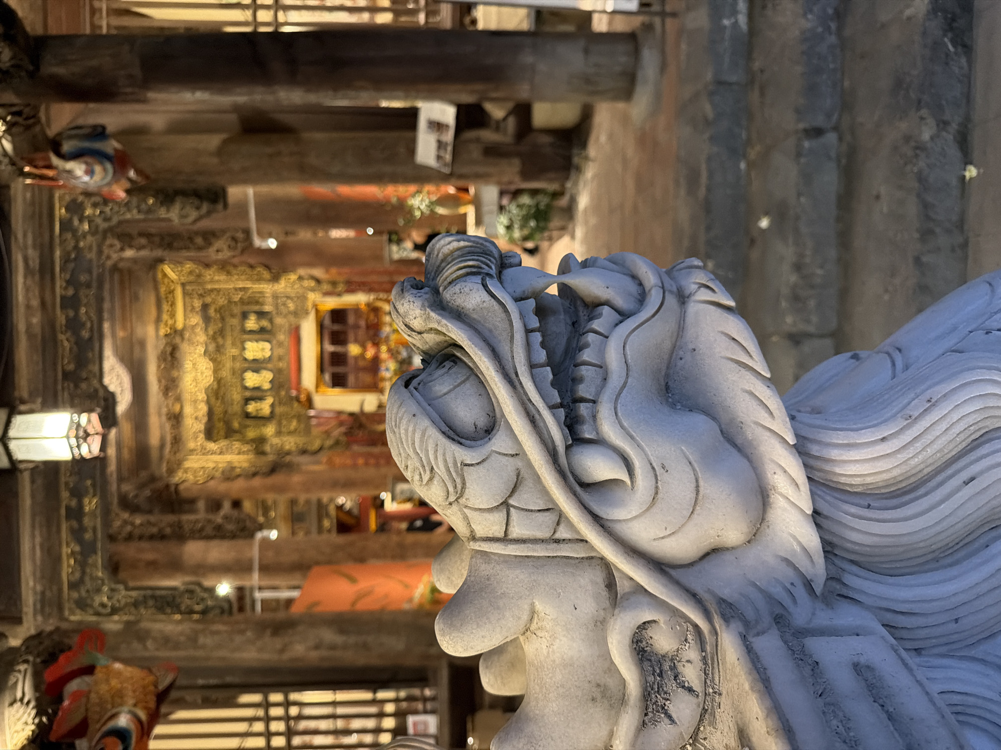The image presents a close-up of a majestic, intricately carved white stone guardian lion (Foo dog) in the foreground, its head turned towards the left. The statue exhibits fine details in its stylized mane, powerful snout, and open mouth, conveying a sense of strength and protection.
In the background, a traditional indoor setting is visible, likely a temple or an ancestral hall in Hà Nội, Vietnam. Robust dark wooden beams and structural elements are prominent, showcasing classic East Asian architectural style. Beyond these, the interior is richly decorated with ornate gold-colored carvings and designs, creating a lavish ambiance. A large, gilded plaque or sign with unidentifiable Asian script (likely Chinese characters or Hán Nôm) is partially visible in the distant background, adding a cultural and historical layer to the scene.
The lighting, primarily from traditional lanterns and other artificial sources, casts a warm glow, indicating that the photograph was taken during the evening or at night. A smaller, colorful decorative figure can be seen on the left side of the background. The overall impression is one of cultural heritage, solemnity, and detailed craftsmanship, capturing the essence of a historical Vietnamese architectural space. No specific activity is depicted, emphasizing the static beauty of the shrine's elements.