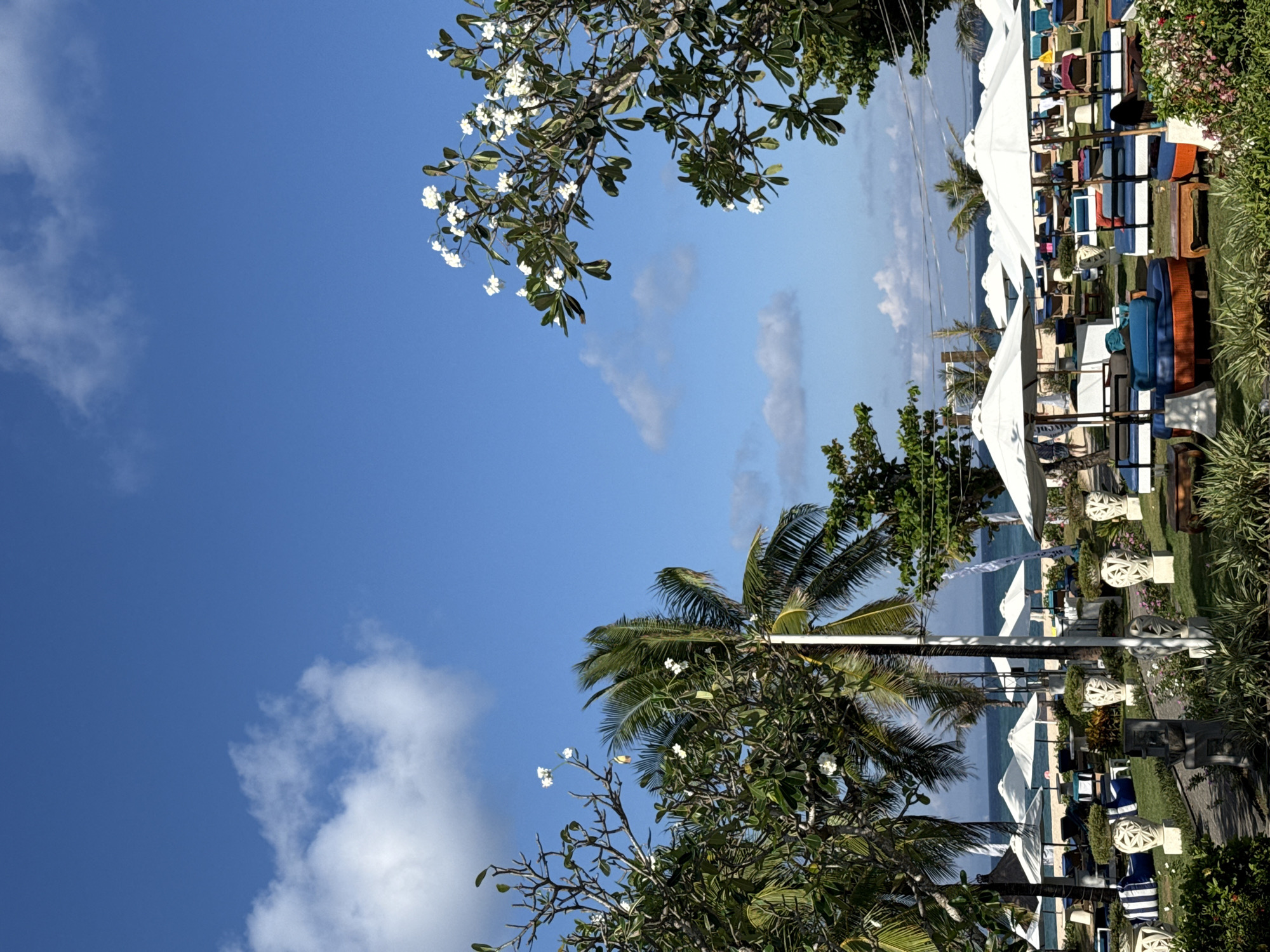 The image displays a vibrant tropical resort or beach club environment under a clear, bright blue sky with scattered white clouds. Lush green foliage, including several tall palm trees and other tropical trees adorned with numerous white flowers (likely plumeria or frangipani), frames the scene, particularly from the upper and left sides.
In the mid-ground, a well-maintained grassy area is set up with leisure facilities. Multiple large, white sun umbrellas provide shade over an array of lounge chairs and daybeds. These seating arrangements feature colorful cushions in hues of blue, orange, and white stripes, creating an inviting atmosphere. Decorative white, carved stone ornaments are also visible along what appears to be a pathway.
Beyond the resort amenities, a stretch of sandy beach leads to the calm, clear blue waters of the ocean, which extends to the horizon. The setting suggests a tranquil and relaxing vacation destination. The bright sunlight indicates it is daytime, likely morning or early afternoon, with perfect weather conditions. There are no people visible in the image, emphasizing the serene and undisturbed nature of the location. No text is visible in the image. The scene is characteristic of a tropical getaway, consistent with Kuta Selatan, Indonesia.