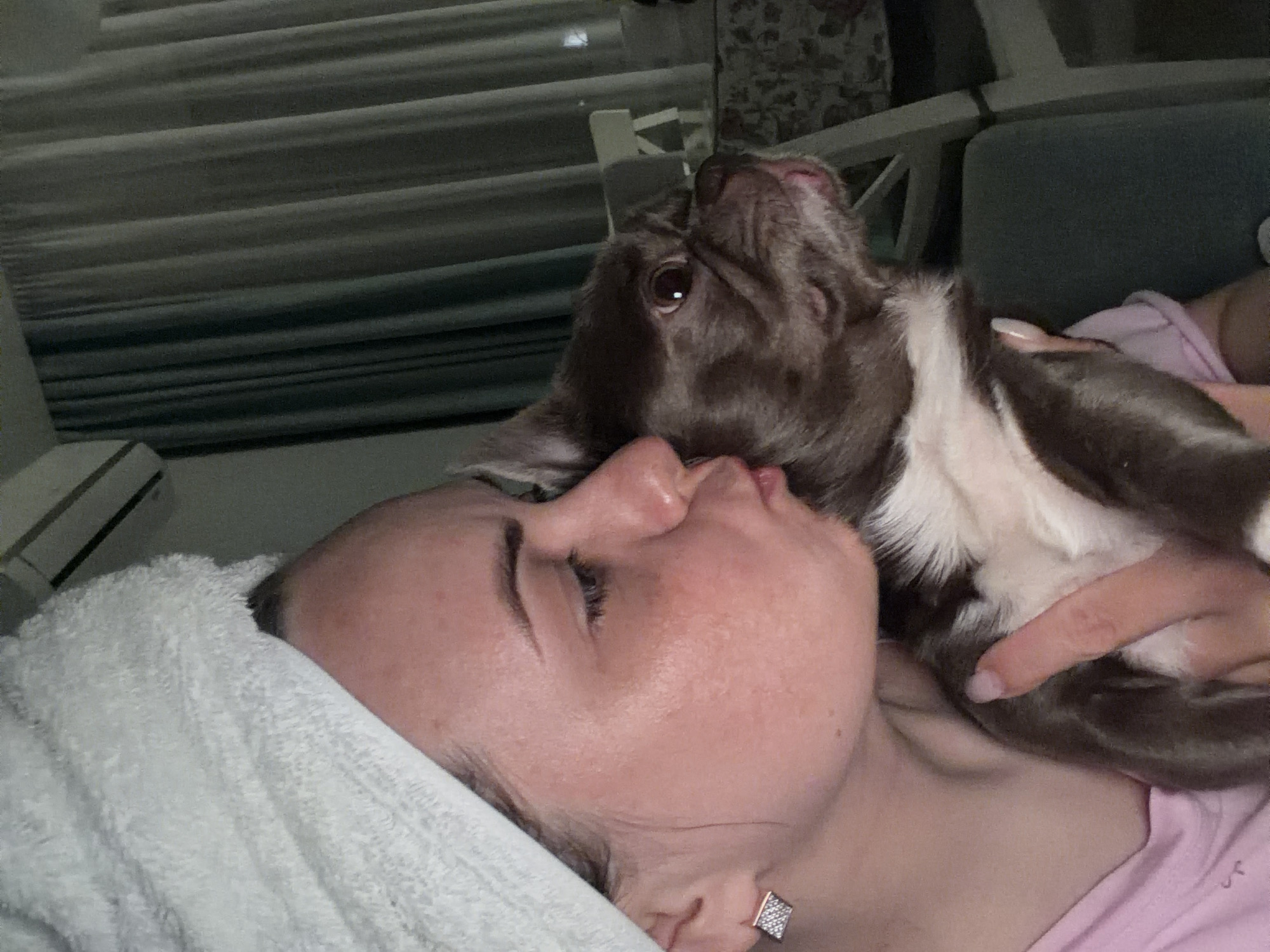 A woman lies on a white towel, wearing a pink shirt, and being kissed by a brown and white dog. The location cannot be confirmed in Votkinsk, Russia, based on the visual information alone. The background shows blinds, a chair, and a sofa. The woman is wearing a square earring. The dog's head is tilted up. A hand is holding the dog.