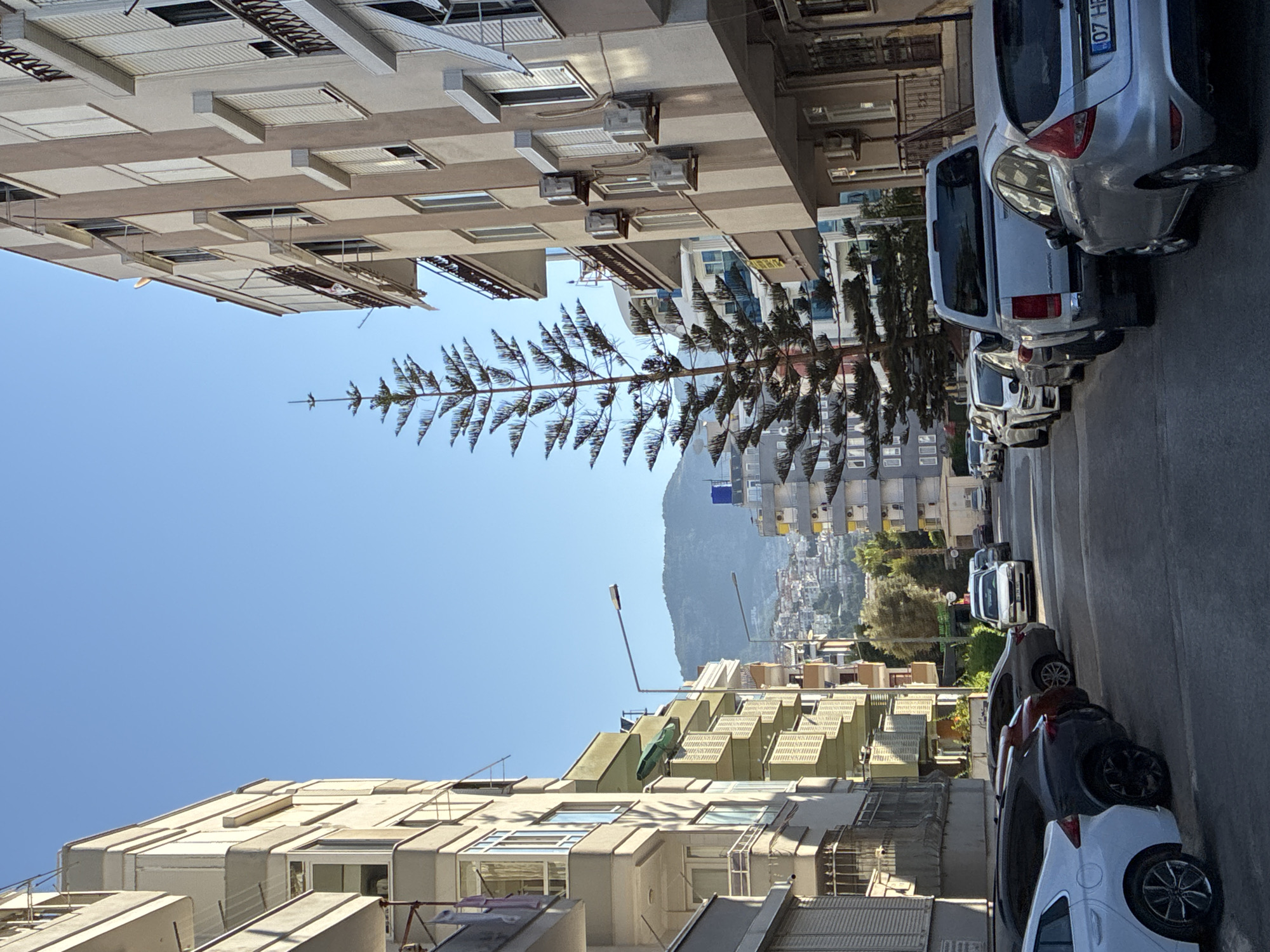 The image depicts a narrow street in Alanya, Turkey, lined with apartment buildings and parked cars. The buildings on both sides of the street are multi-story structures with balconies and visible air conditioning units. A tall, slender pine tree with a distinct tiered shape stands prominently in the center of the street, drawing the eye towards a distant mountain range and a densely populated hillside covered with buildings. The sky is clear and blue, suggesting a sunny day. Several cars are parked along the street, including a white pickup truck and a silver hatchback in the foreground. Laundry is visible hanging on balconies of the buildings on the left. Streetlights are also present. The scene appears to be a typical urban streetscape in a coastal city.
