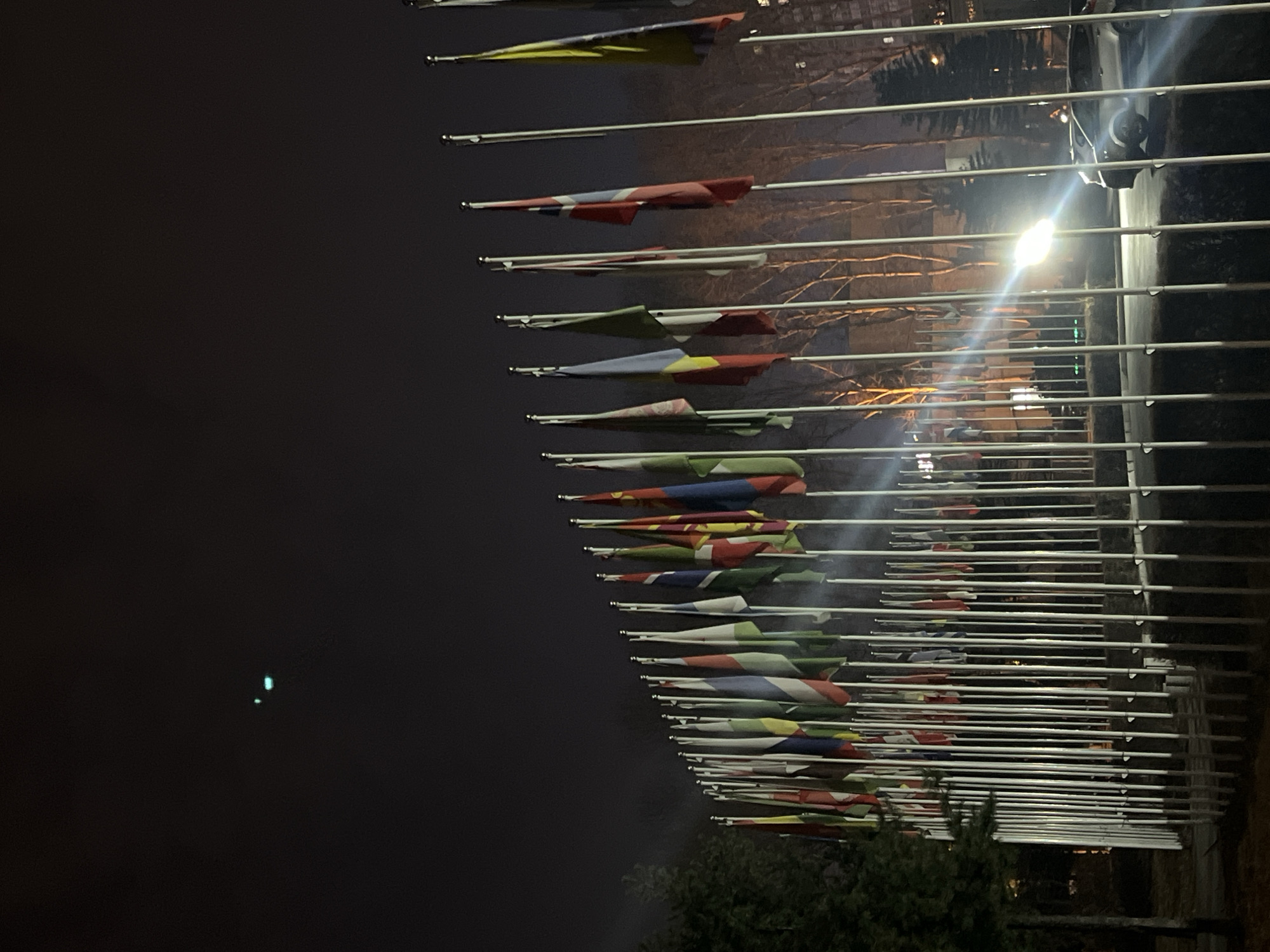 The image depicts a nighttime exterior scene at the Foreign Affairs Office of the People's Government of Changchun City, located at No. 2389 Renmin Street, Chaoyang District, Changchun City, Jilin Province, China. A large, curved display of numerous international flags is the primary subject, mounted on white poles and illuminated by artificial light sources from the front, causing reflections and highlights on the poles. The flags themselves are colorful but largely static, indicating calm conditions. The base of the flag display consists of a low, dark structure. To the left, dark green tree foliage is visible. To the right, behind the flagpoles, bare-branched trees stand in front of a building with illuminated windows. A silver-colored SUV is partially visible on the far right, with a bright light source near it generating a prominent lens flare across the scene. The sky is dark and appears overcast, with two small, distinct greenish-blue lights visible high in the upper left quadrant. No individuals are discernible in the frame.