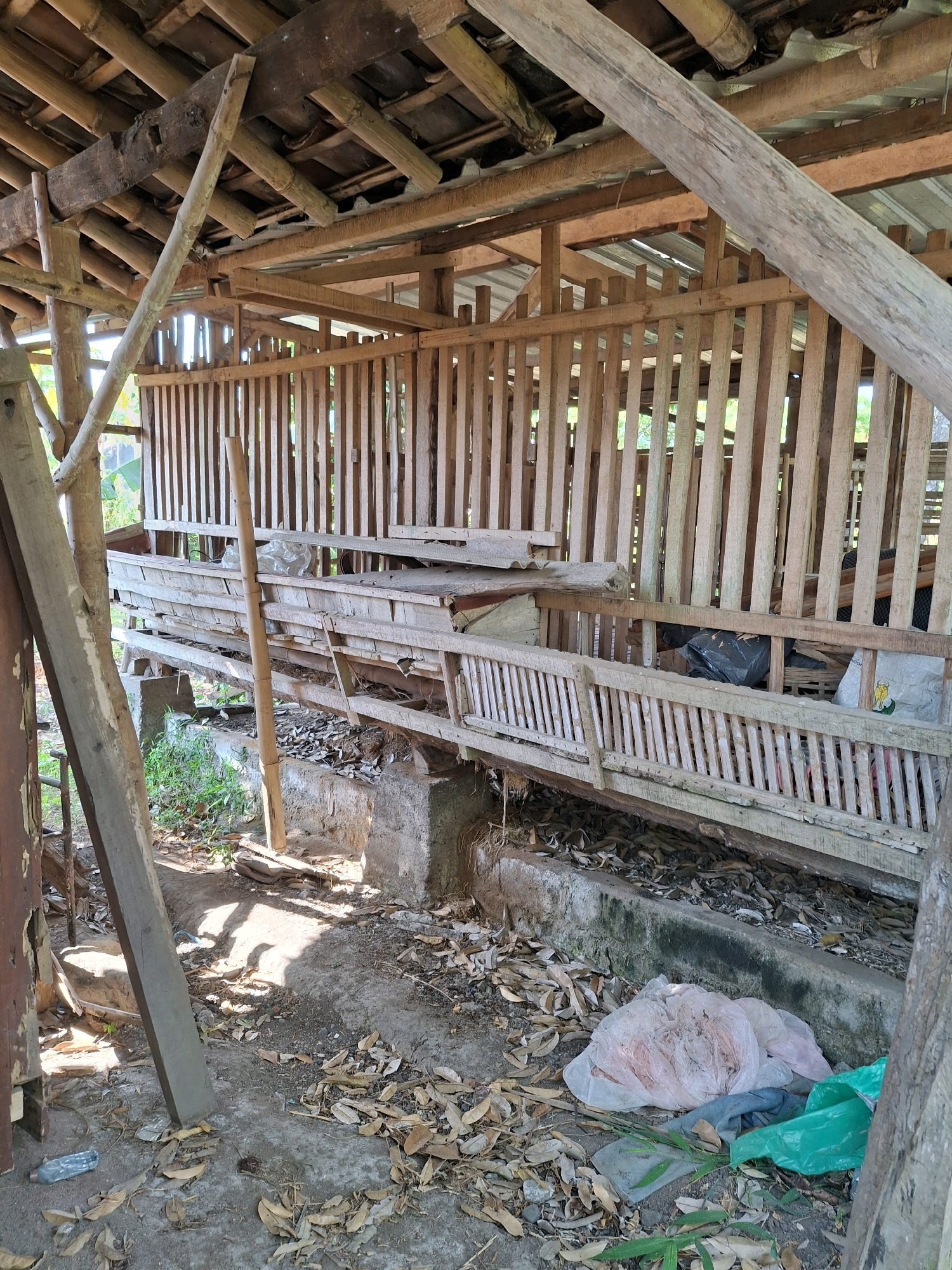 An exterior, eye-level, medium shot shows the interior of a wooden animal enclosure in Denok, Indonesia. The structure is made of raw, unfinished lumber and bamboo, with a corrugated metal roof supported by wooden beams. The enclosure has several levels of wooden racks or feeders, separated by vertical wooden slats. The ground is covered in dirt, dried leaves, and some scattered debris, including plastic bags and a plastic bottle. Green grass and foliage are visible growing in patches around the base of the structure. The scene appears weathered and somewhat neglected.