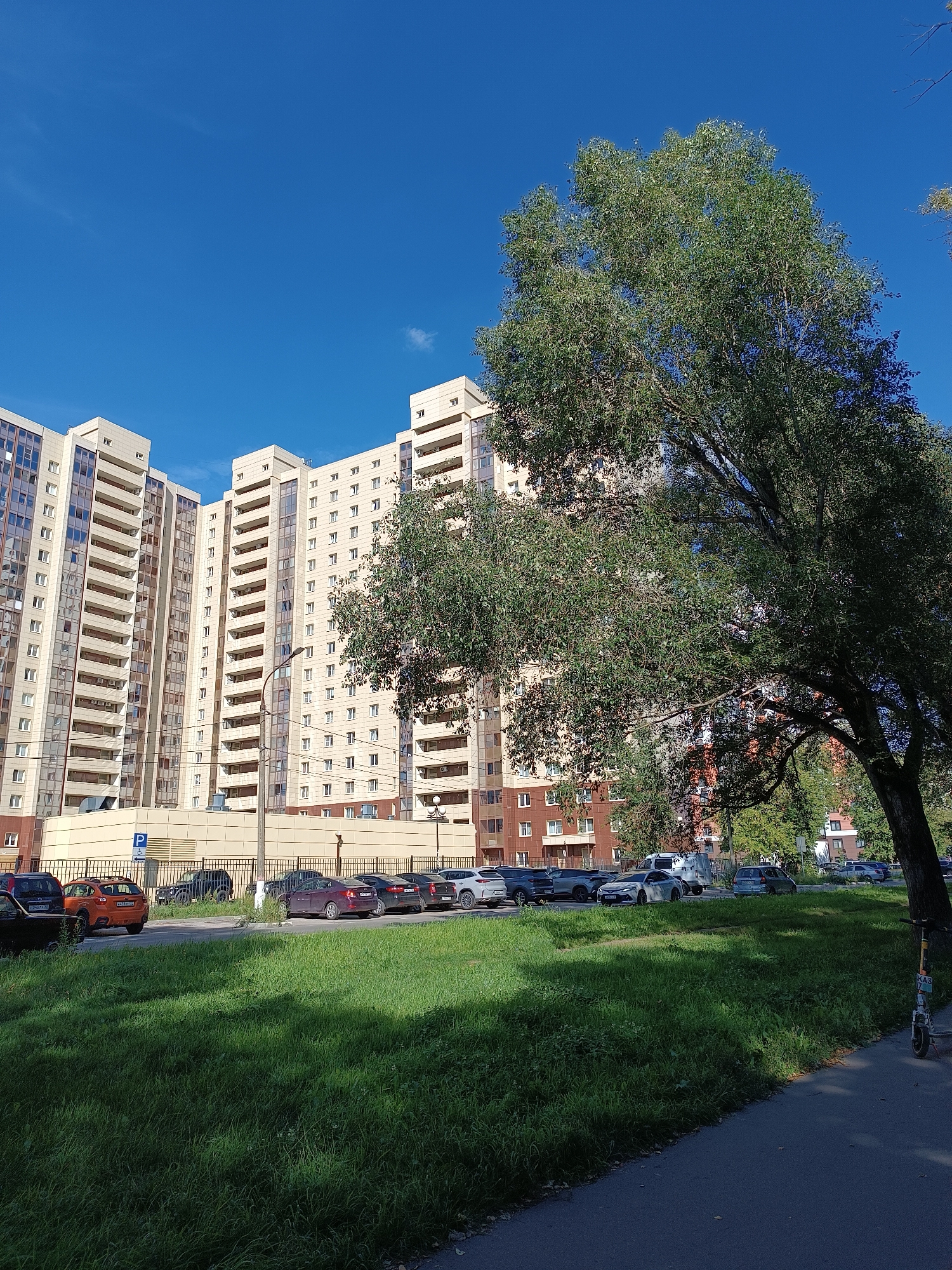 The image depicts a bright, sunny day in Zhukovsky, Russia, with a clear blue sky. In the foreground, a patch of vibrant green grass is illuminated by sunlight, casting shadows from a large, leafy tree that dominates the right side of the frame. The tree's branches extend towards the left, partially obscuring a row of modern, multi-story apartment buildings. These buildings are light-colored, with numerous windows and balconies. A street runs alongside the grass and the apartment buildings, with several cars parked along it, including a white van and various sedans. Further down the street, another apartment building with red brick accents is visible. To the far right of the image, near the edge of the paved walkway, a kick scooter is parked upright. A parking sign with a blue "P" is visible on the left side of the street, near the apartment buildings. The overall scene suggests a residential urban environment.