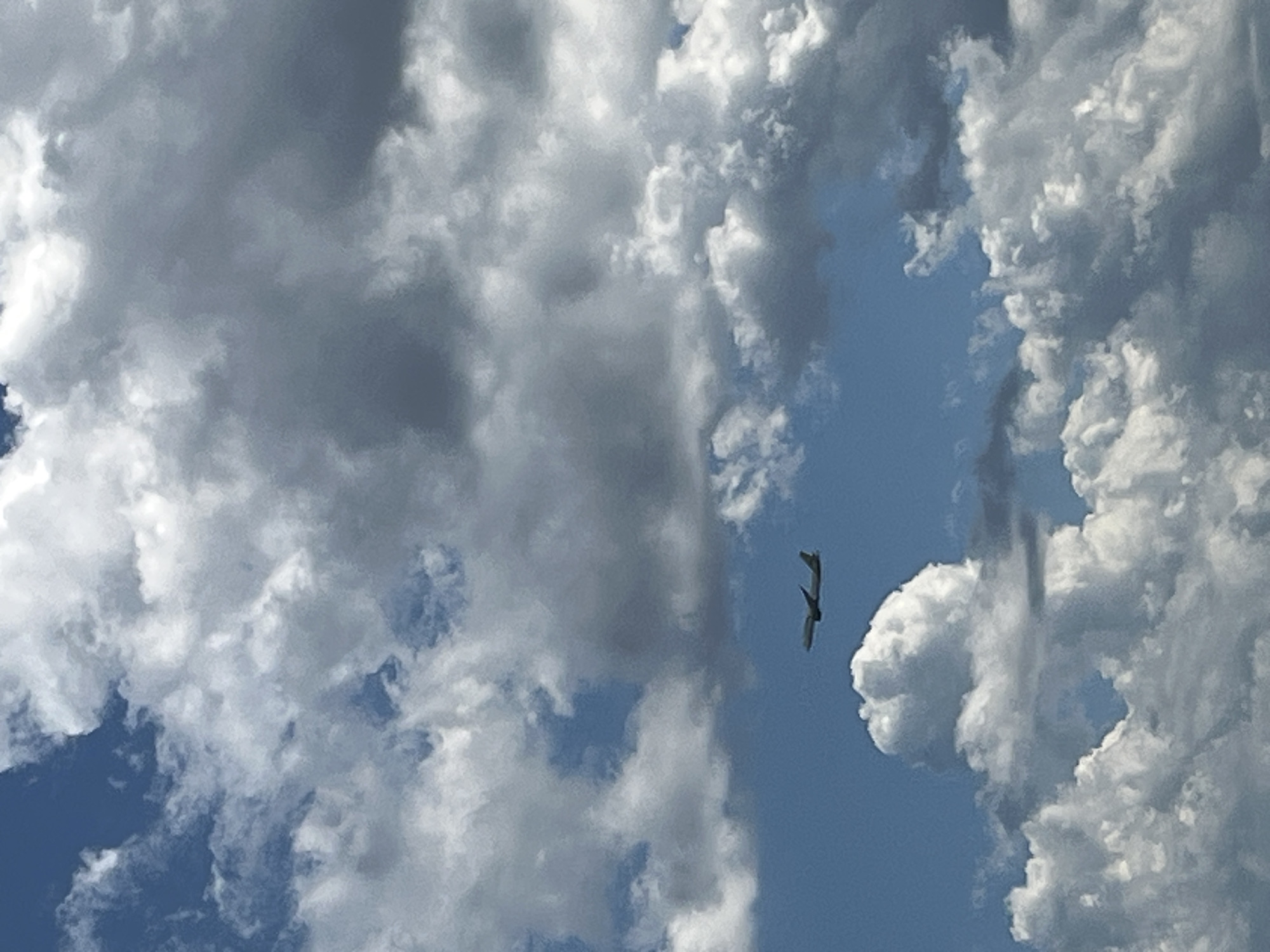 A passenger airplane flies across a cloudy blue sky. The airplane is depicted in the lower-left quadrant of the image, appearing as a small silhouette against the larger backdrop of clouds. The clouds are a mix of white and gray, suggesting a partly cloudy day. The sky is a vibrant blue peeking through the cloud formations. The image appears to be taken from a ground-level perspective, looking upwards at the airplane and sky. There are no people, buildings, or any identifiable Varna landmarks visible in the frame.