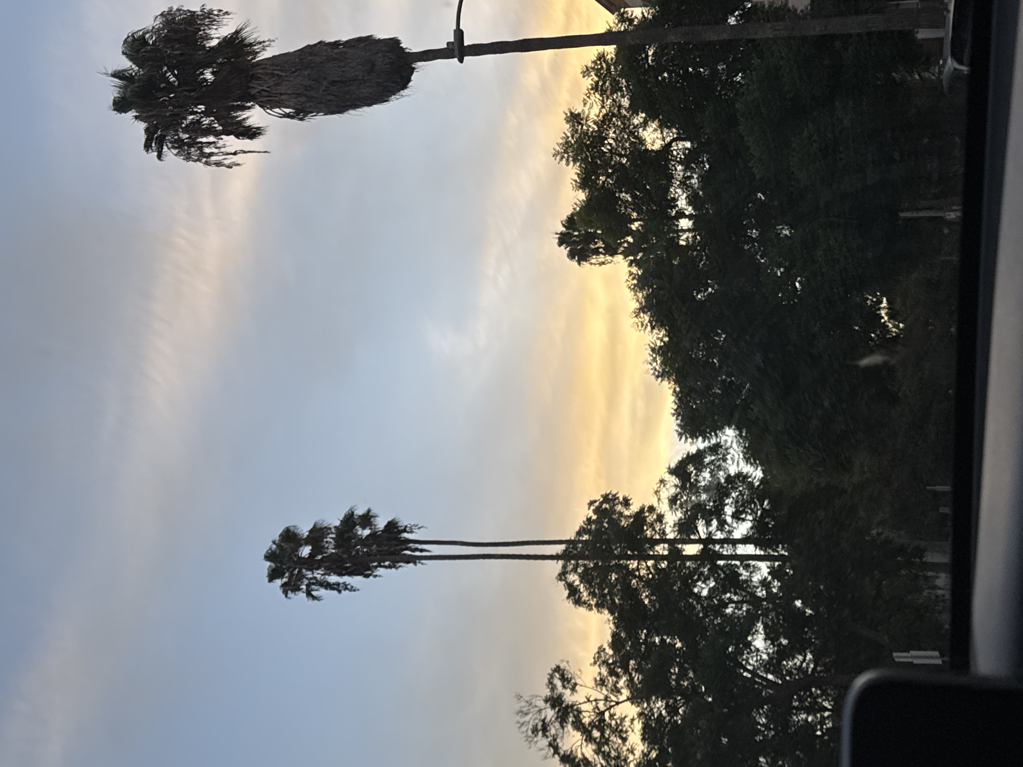 A photograph captures a scenic sunset over a street in Los Angeles, California. Two tall palm trees dominate the skyline, their fronds silhouetted against a sky painted with hues of pale blue, soft pink, and warm orange. The trees are lush and green, with the setting sun casting a warm glow on the sky. The image is taken from inside a vehicle, suggesting a driver's perspective. The dashboard is visible in the foreground, indicating the car's interior. The overall scene conveys a sense of tranquility and the beauty of a Californian sunset.