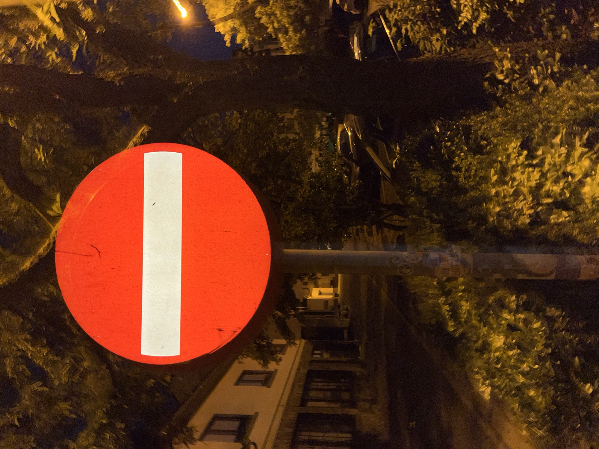 A red, circular stop sign with a white horizontal bar is prominently displayed in the foreground, mounted on a metal pole. The sign is illuminated by artificial light, casting a warm glow. To the left of the sign, a building with dark windows and a light-colored facade is visible. Behind the sign and to the right, a large tree with dark leaves and a visible trunk obscures much of the background. The scene appears to be a street at night, indicated by the presence of streetlights casting yellow illumination on the foliage and a few parked cars in the middle ground. The environment suggests a residential or commercial area in Saint-Vith, Belgium. There are no people visible in the image.