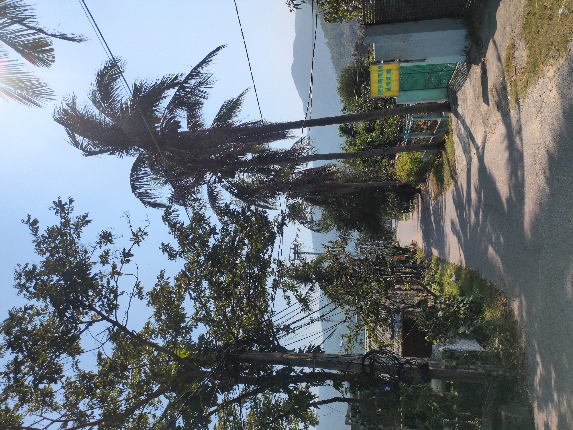 The scene captures a street view in South Quy Nhon Ward, Vietnam. The road is paved, flanked by vegetation. Palm trees dominate the left side of the image, with their fronds reaching towards a bright sky. A utility pole is visible, laden with electrical wires. In the background, a mountainous landscape provides a backdrop. On the right side, a gate and a signpost with text are present. The overall image suggests a blend of urban and natural elements.